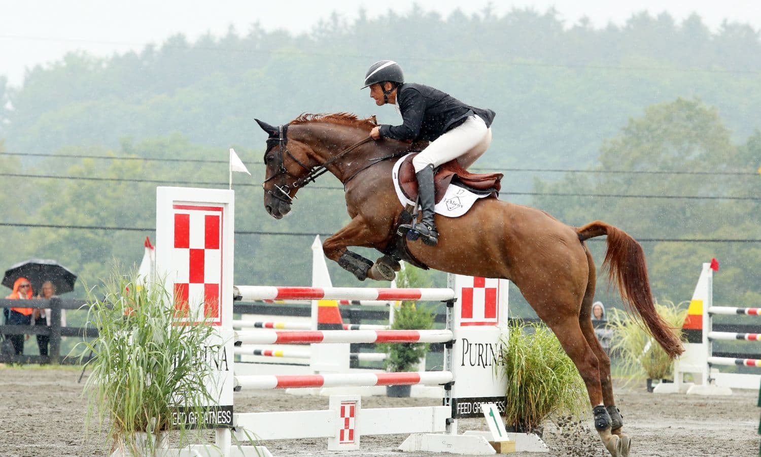 Boyd Martin and Miss Lulu Herself Win Advanced Division at 40th Annual Millbrook Horse Trials