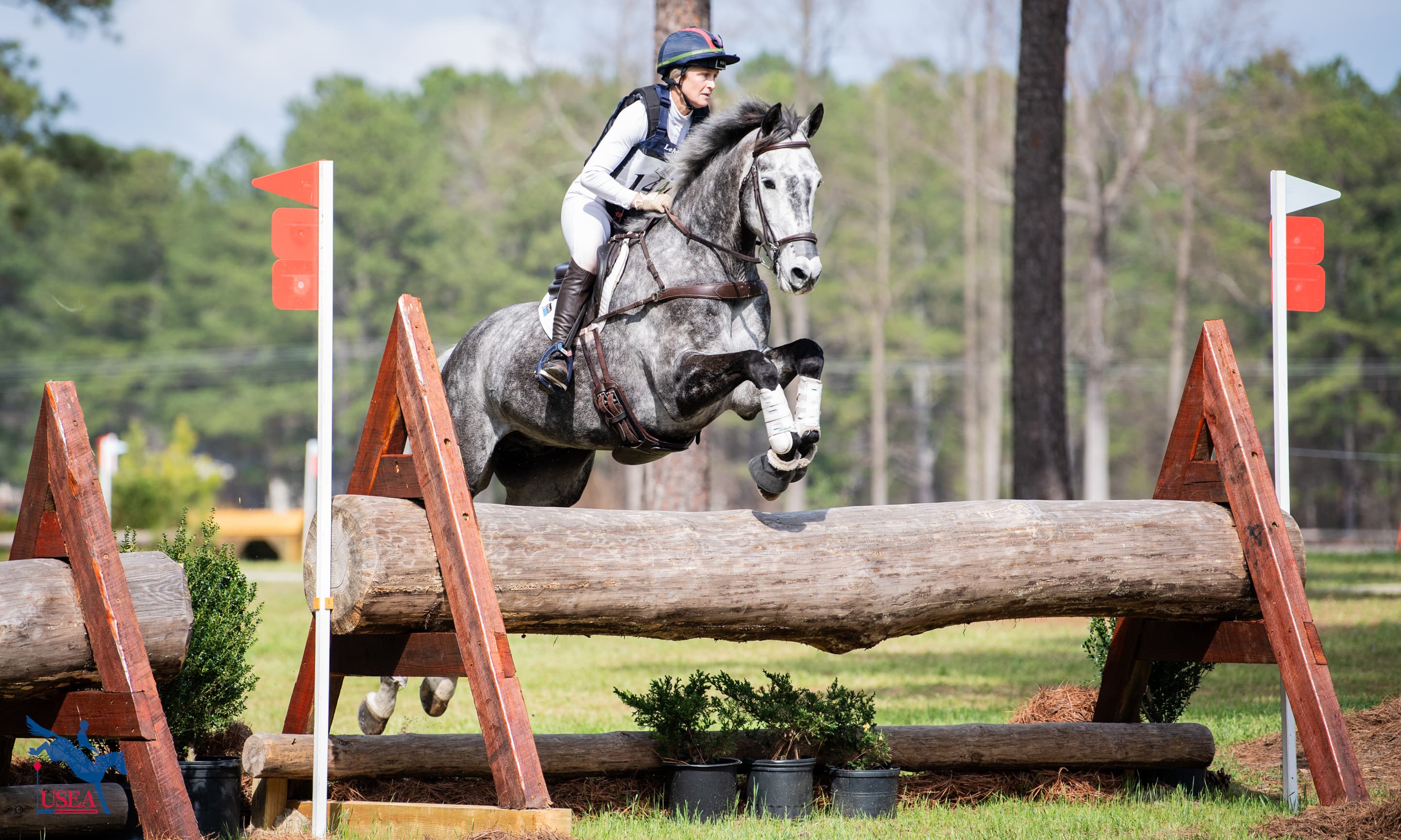 The Race to Le Lion Continues: Six Fully Qualified Horses Are in the Running