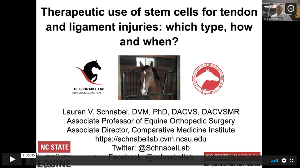 Therapeutic Use Of Stem Cells