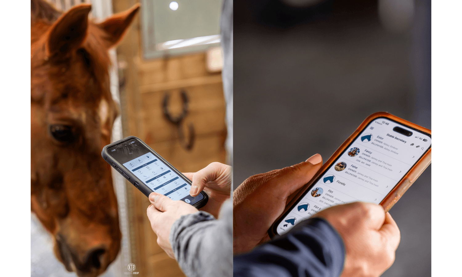 The Power of Organization: Why It Matters for Every Barn