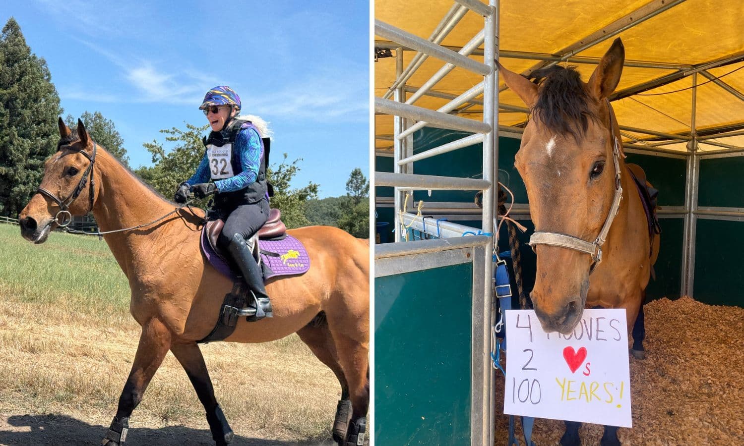 Susan Burwen and C Taz Go Claim Century Ride Achievement Award at Woodside Horse Trials