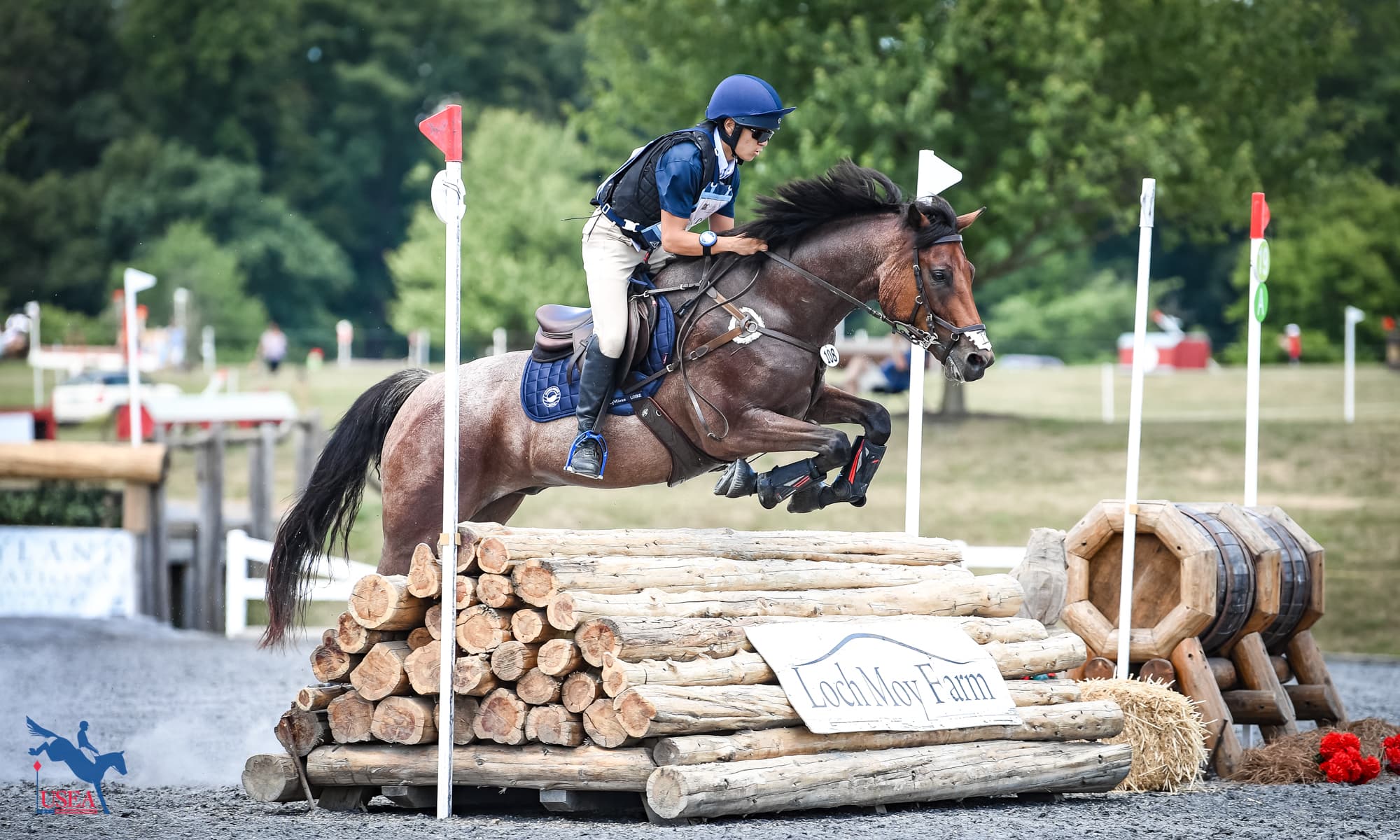 From Setback to Spotlight: James Power and His Connemara Sport Horse’s Remarkable Comeback