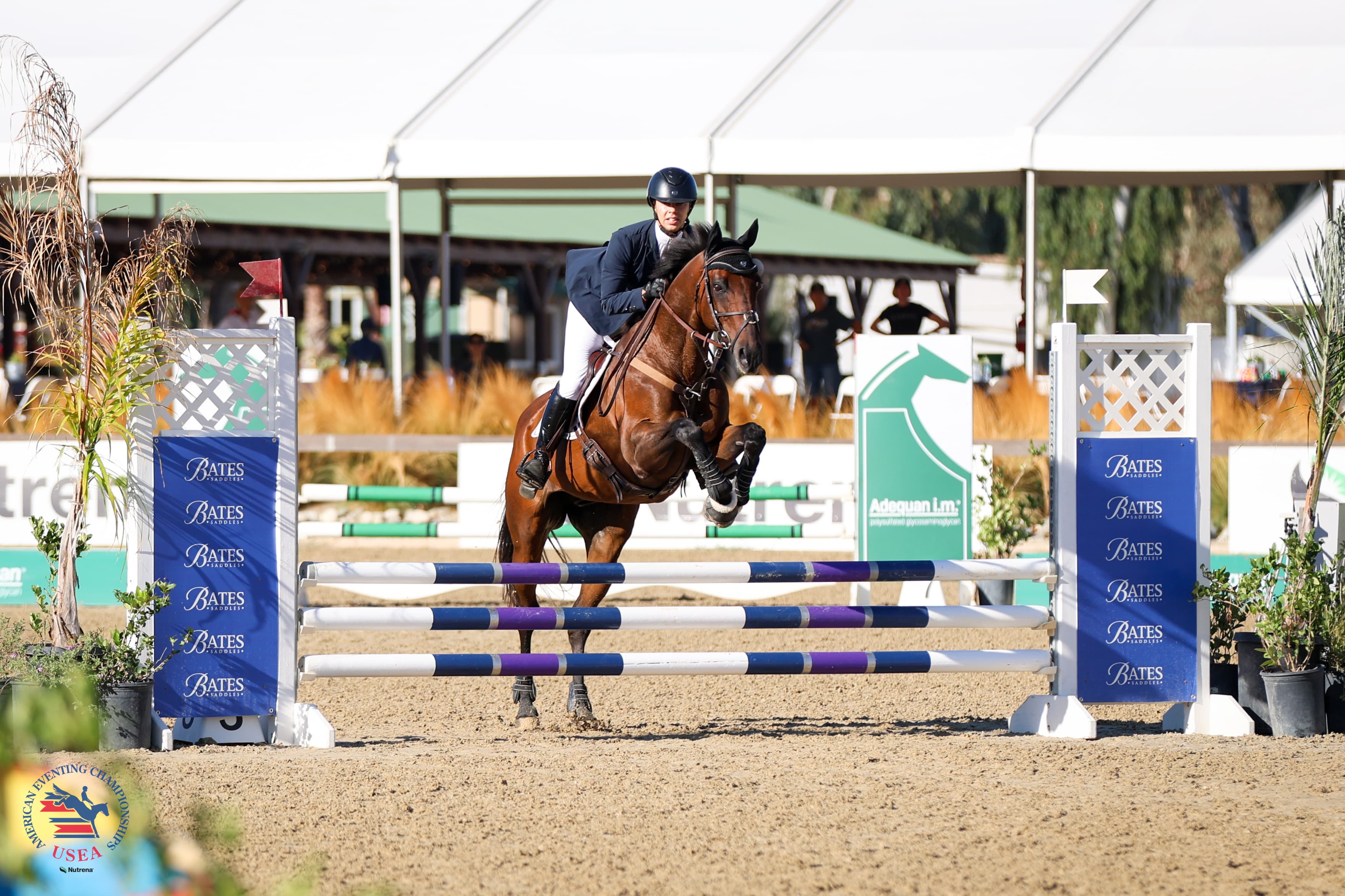 Beginner Novice Amateur Champions: Shayna Zeigen and Comic Strip Hero. USEA/Lindsay Berreth photo