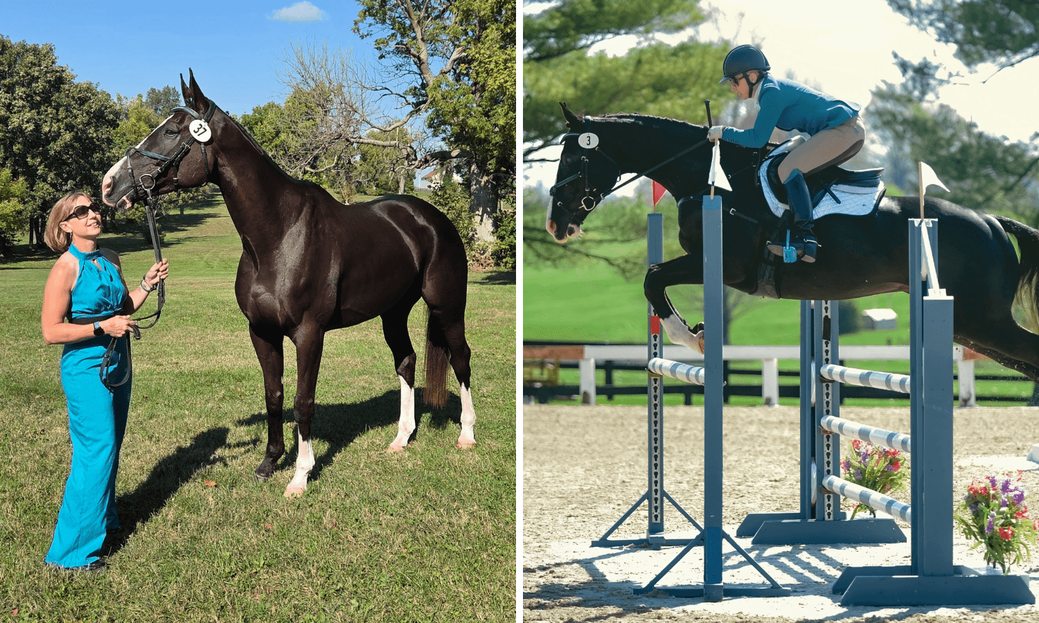 Diamond Dog Shines Bright as USEA Preliminary 6-Year-Old Horse of the Year