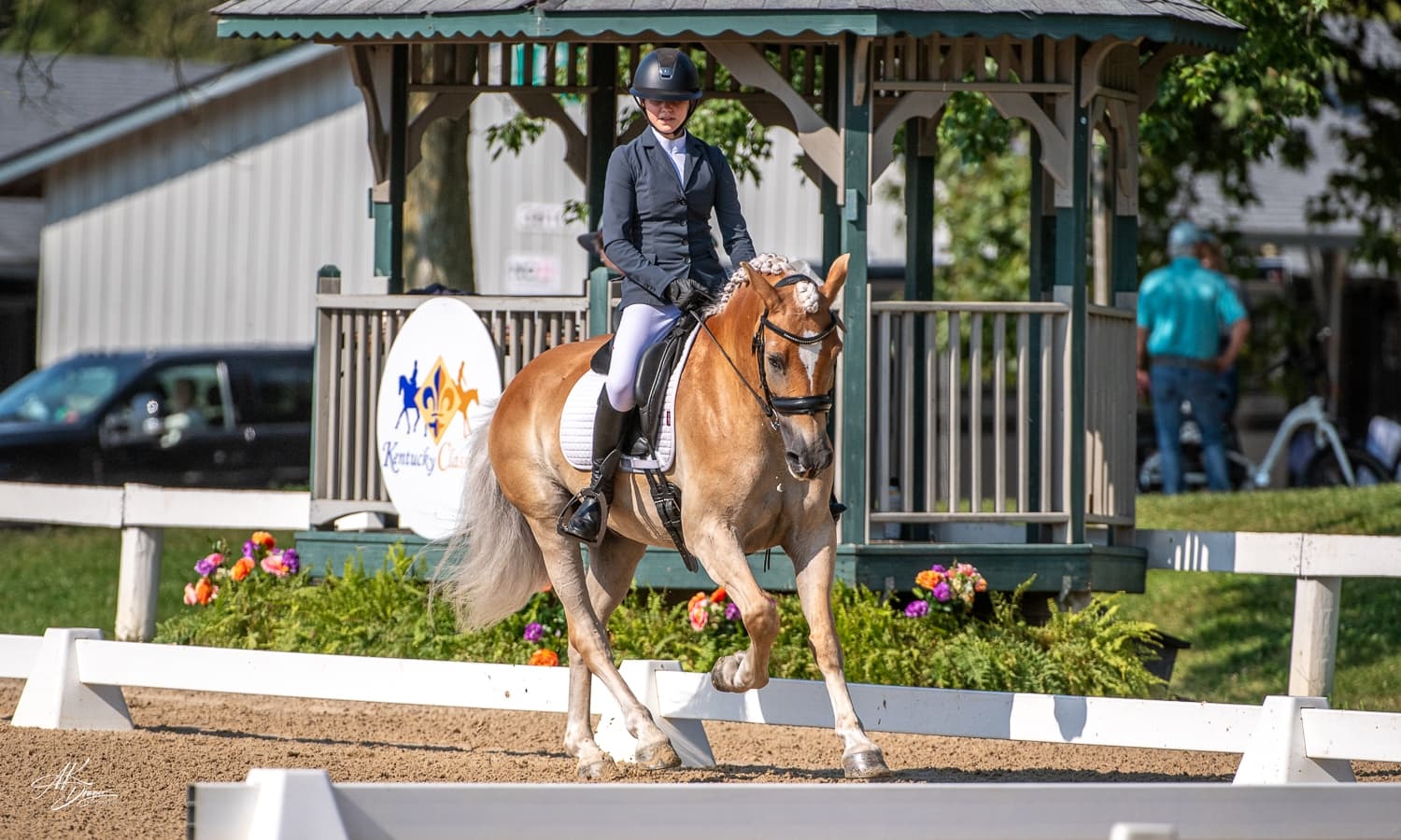 USEA Novice Riders Dazzle the Judges at #AEC2026