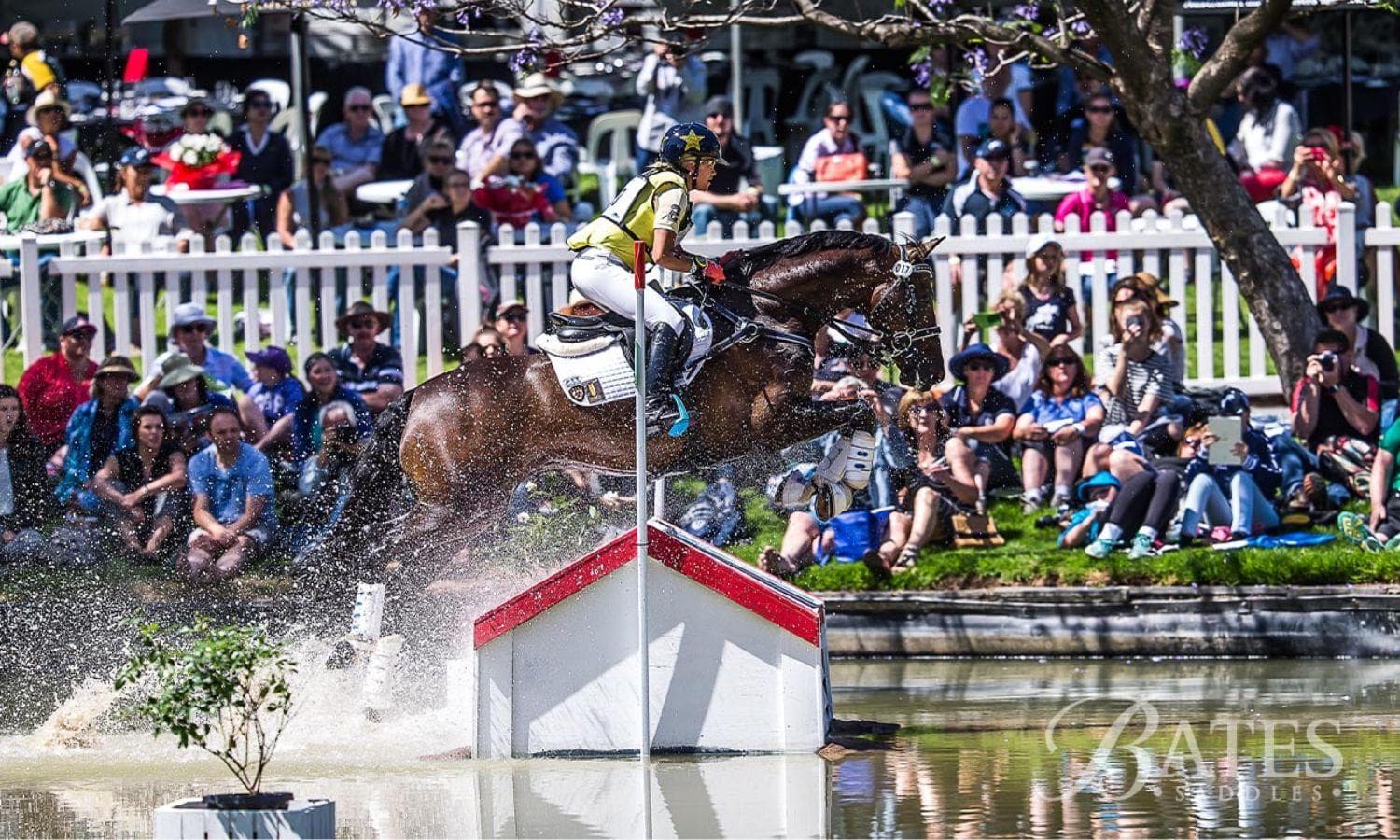 The Eventing Saddle Buyer's Guide: Fit, Function & Finding the Right Match