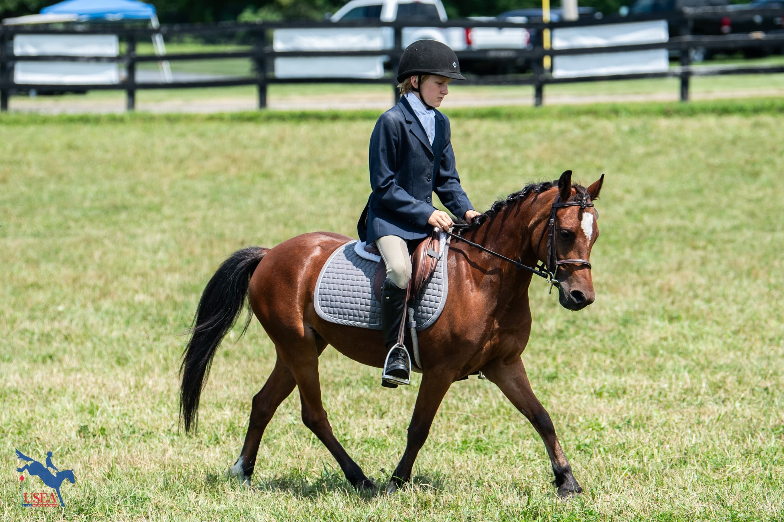 Holly Go Lucky, the Littlest Pony at Millbrook, Has the Biggest Personality