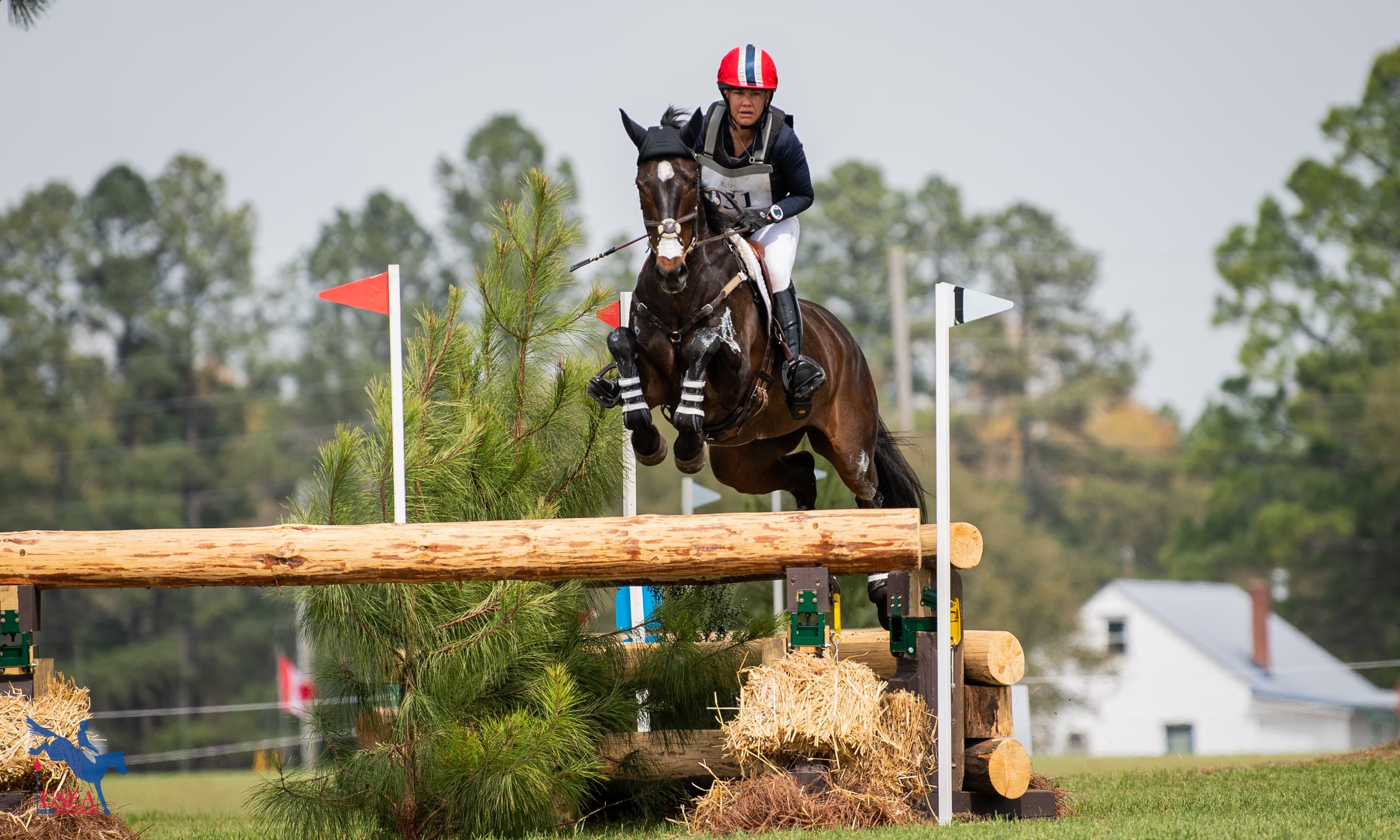 Lillet 3 Rises to the Top in SRF Carolina International CCI4*-S