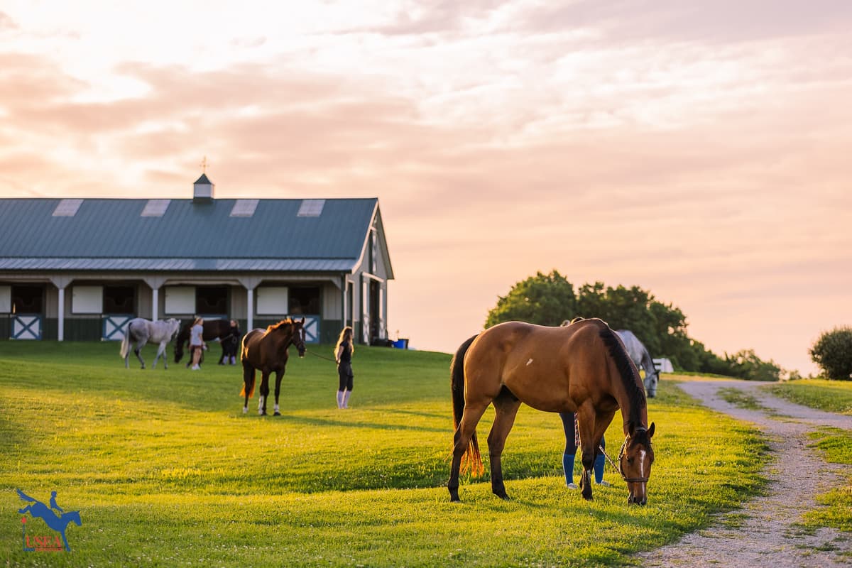 Through the Lens: USEA EA21 East I, Central, and West I Regional Clinics