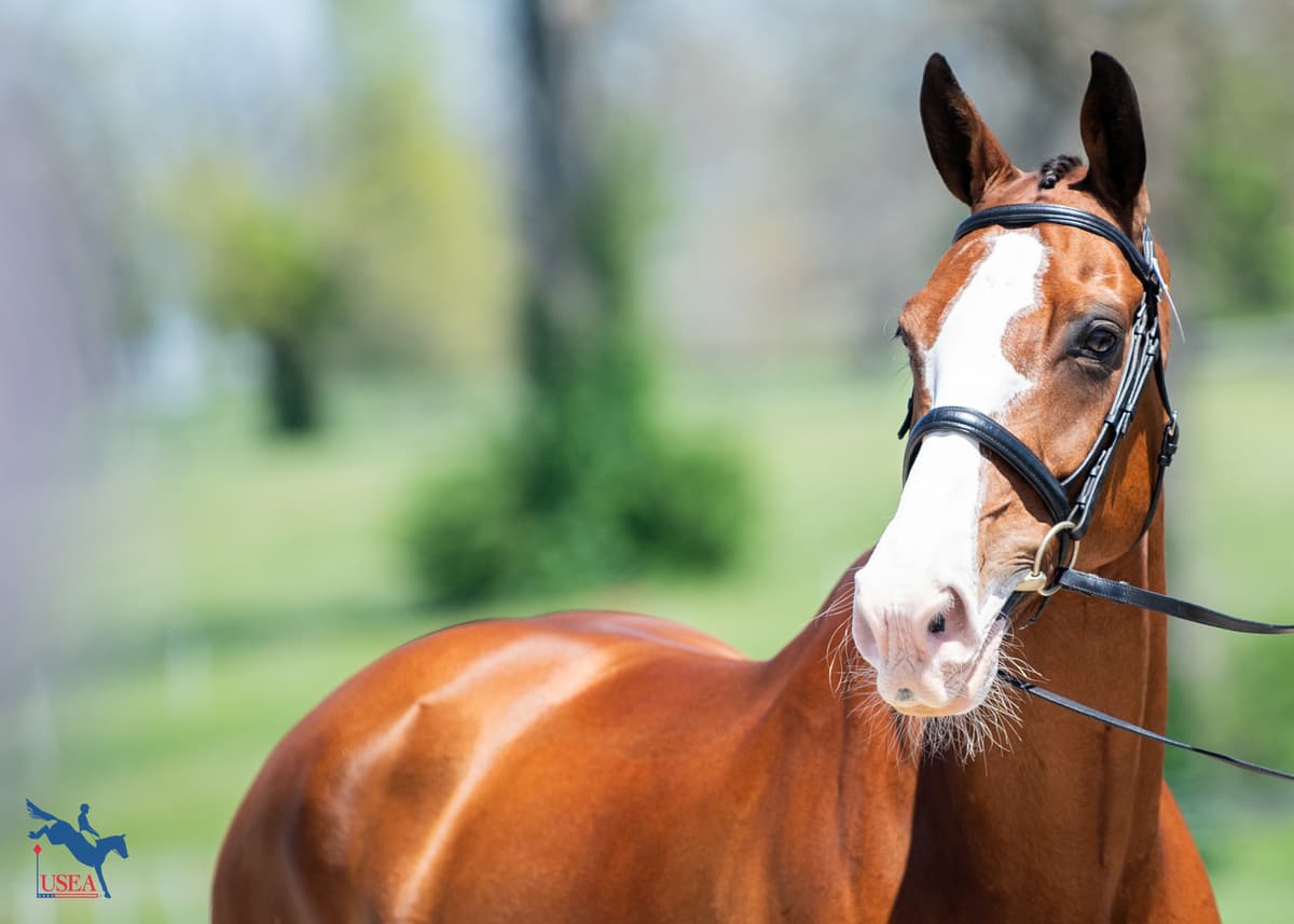 Through The Lens: 2025 Defender Kentucky