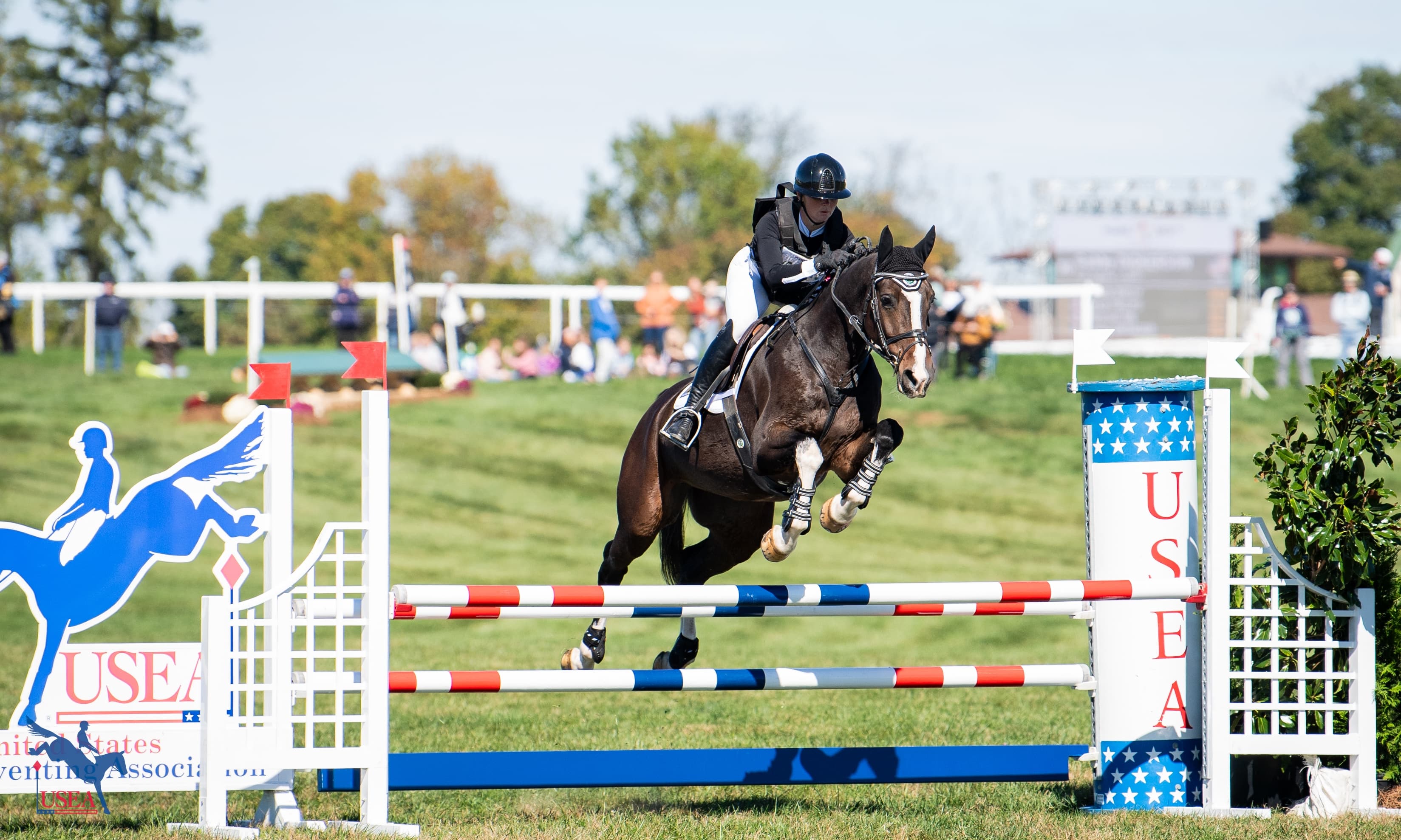 Registration Open for the 2026 Young Event Horse Symposium