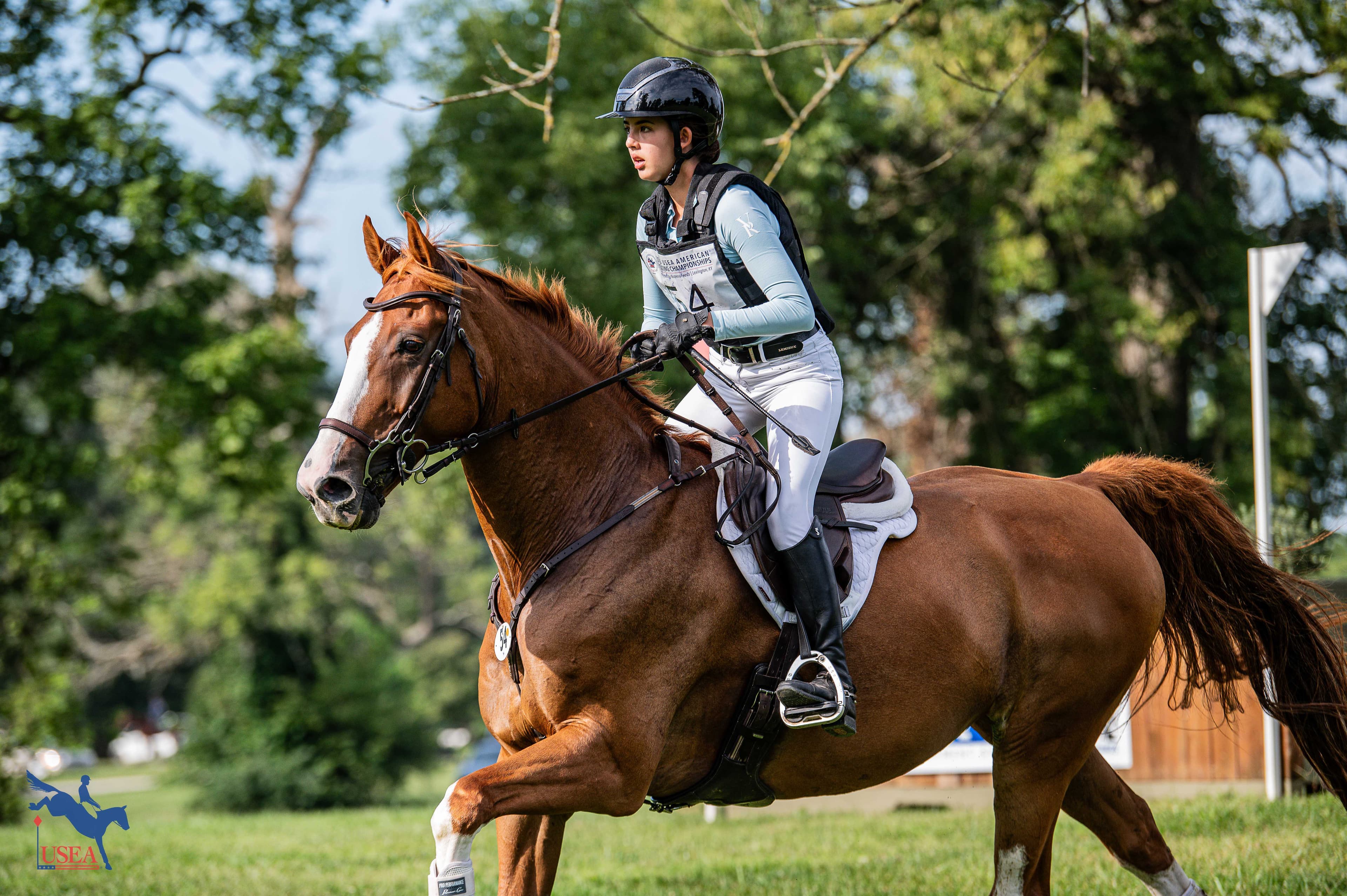 Evaluating Events and Licensed Officials | Does It Matter and How Does it Work?