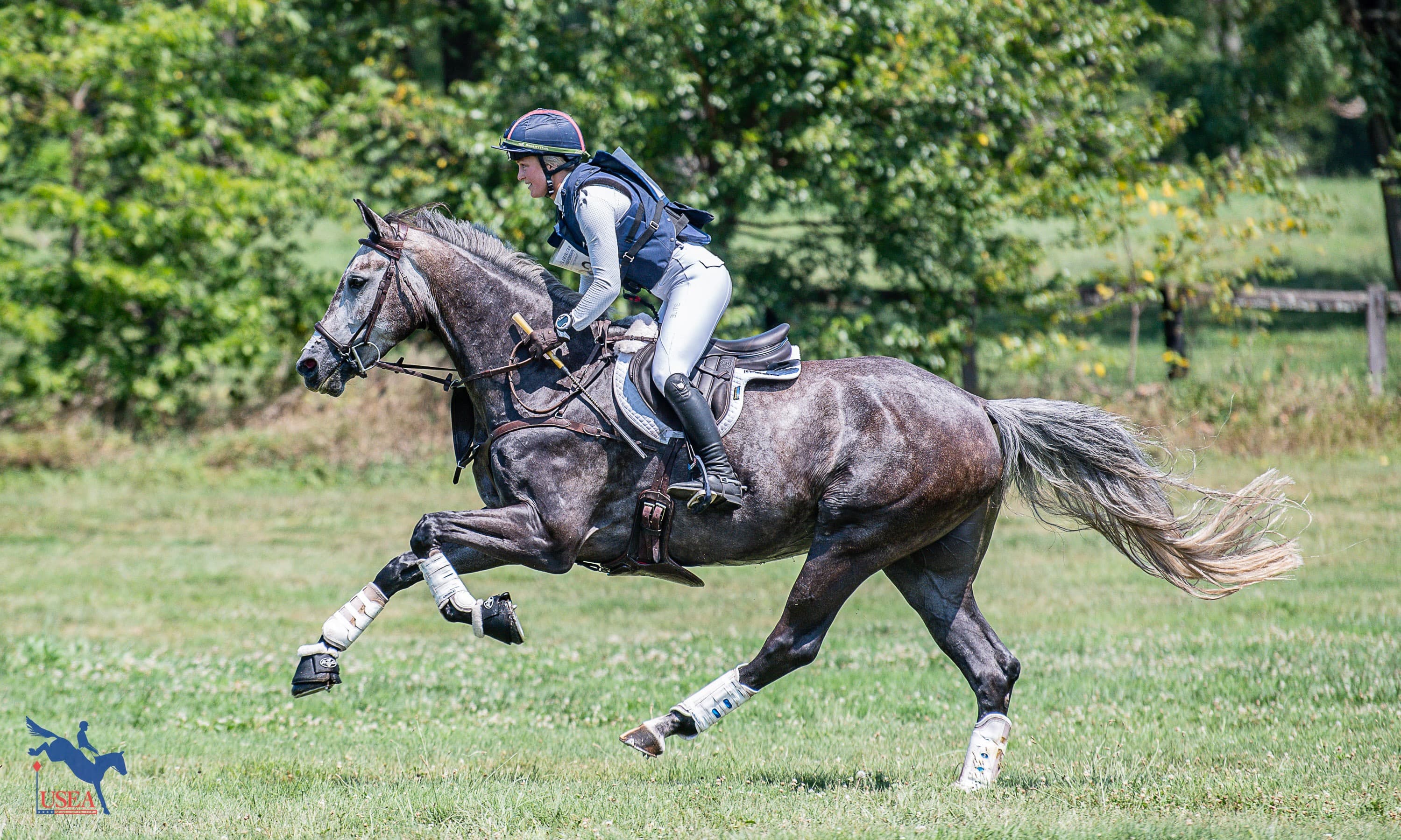 Rule Refresher: Understanding the 2025 Changes to the Whip Rules