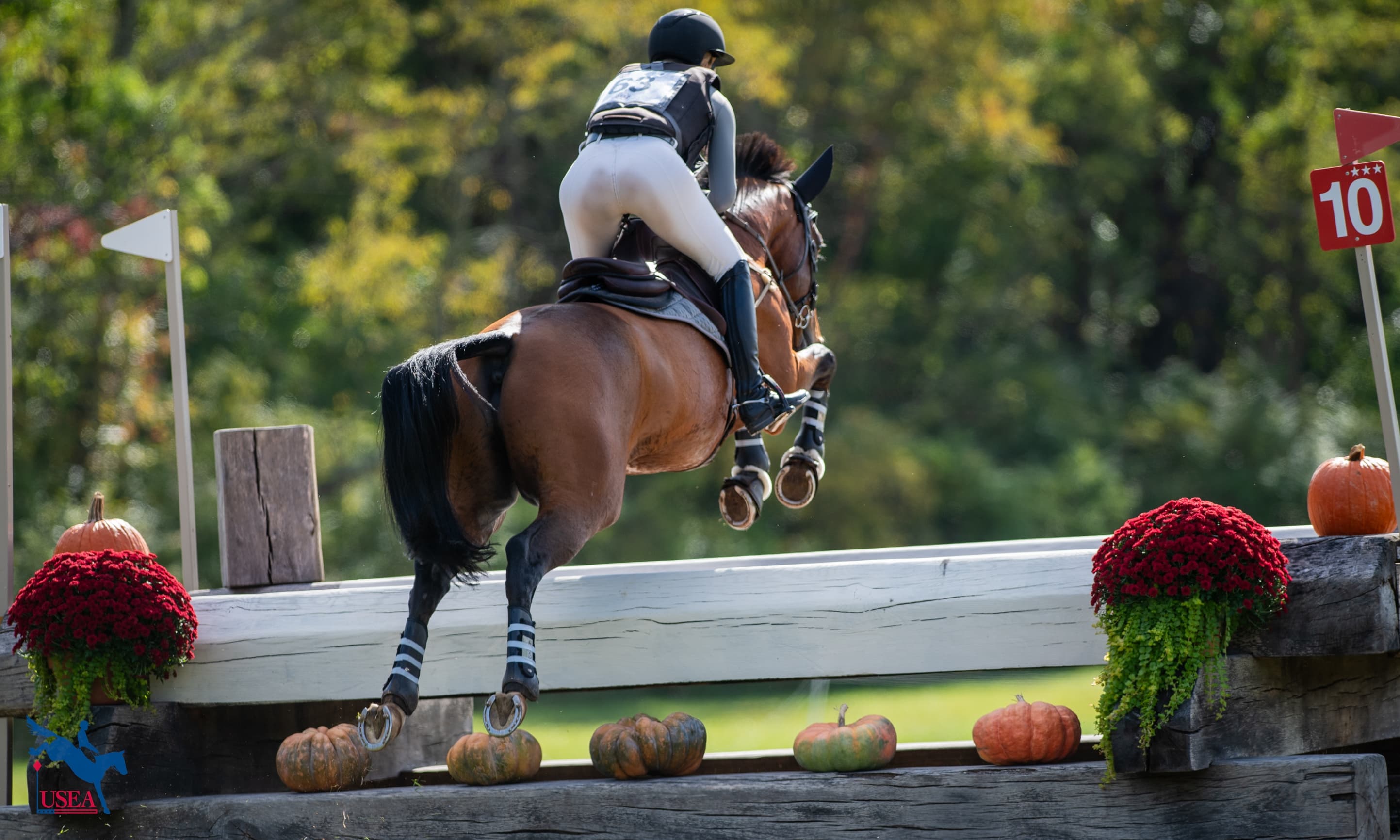Not Your Day: Knowing When to Push On—or Pull Up—On Cross-Country