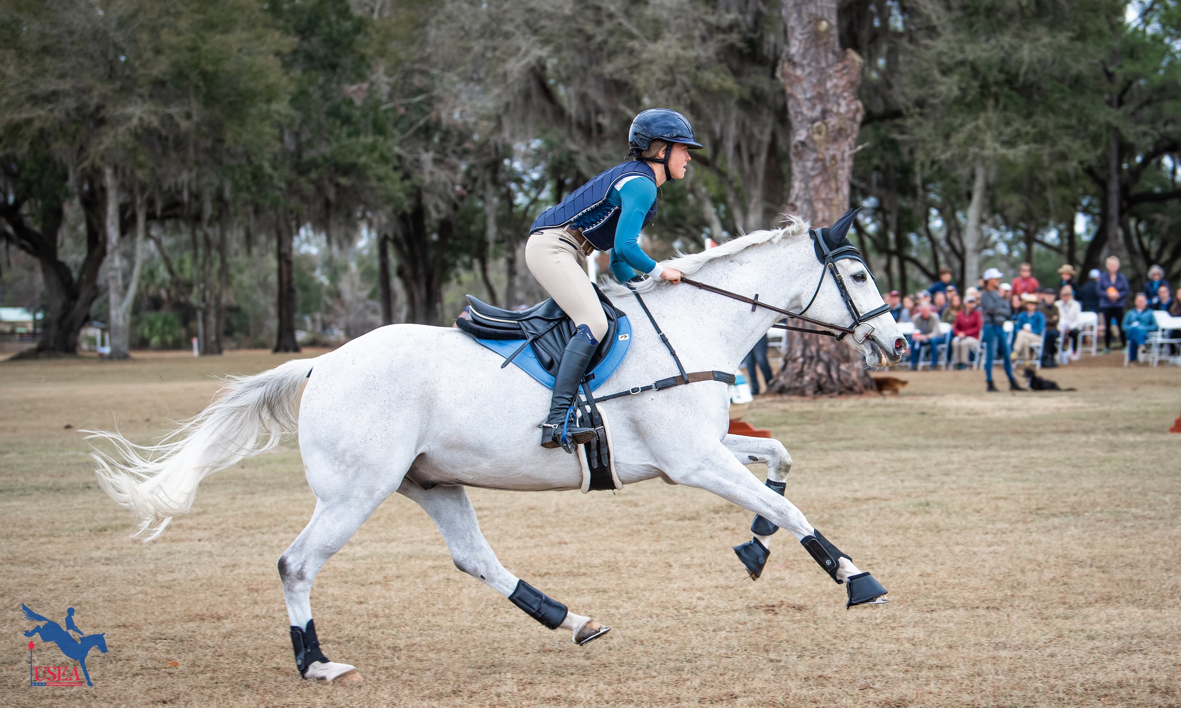 Gallop, Scope, Rideability, and Heart; Evaluating Young Talent at the 2026 Ocala Horse Properties USEA YEH Symposium