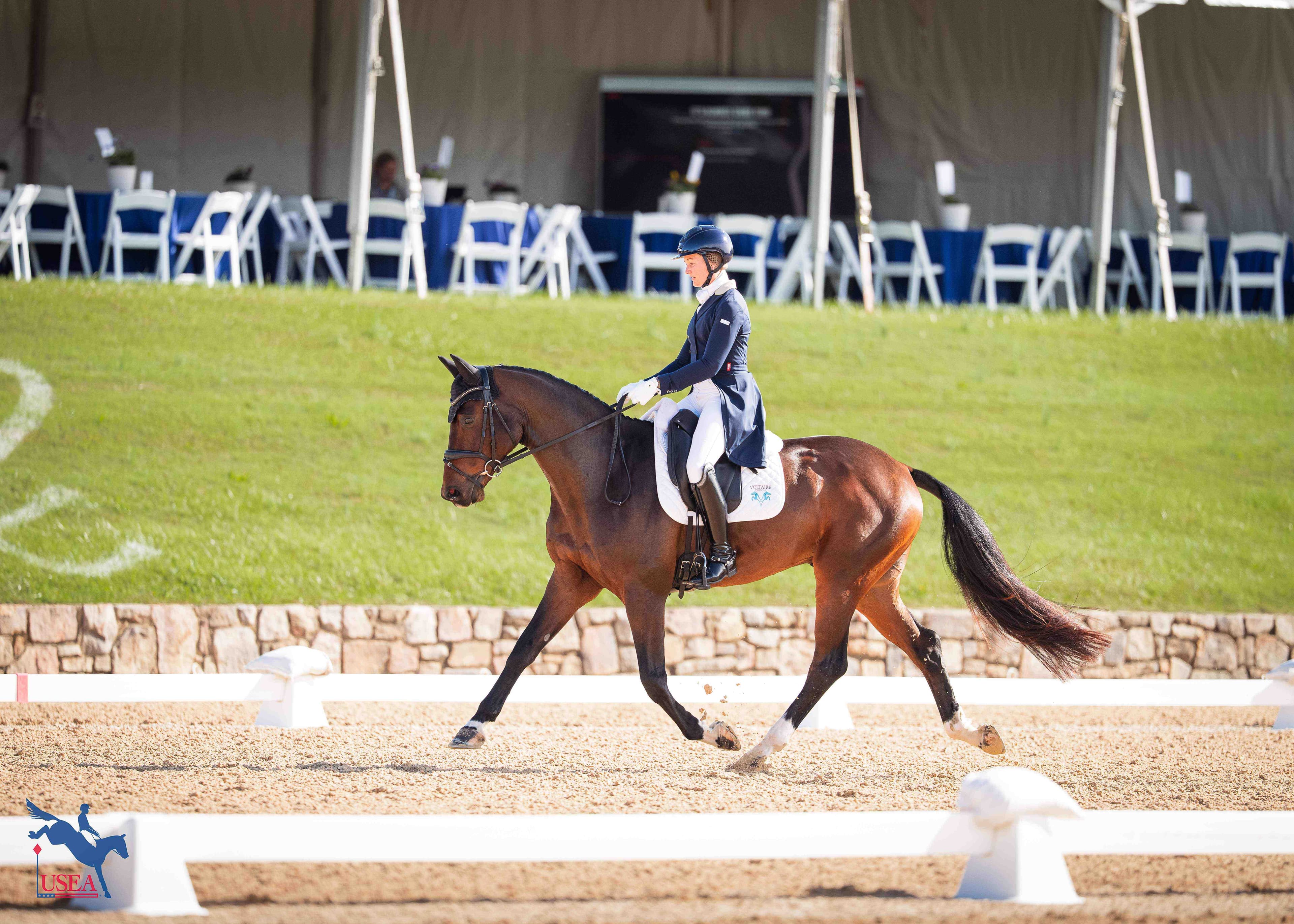 Prince of Oolde and Tip Top Quality Set the Pace on Opening Day of USEA/USEF Developing Horse Championships