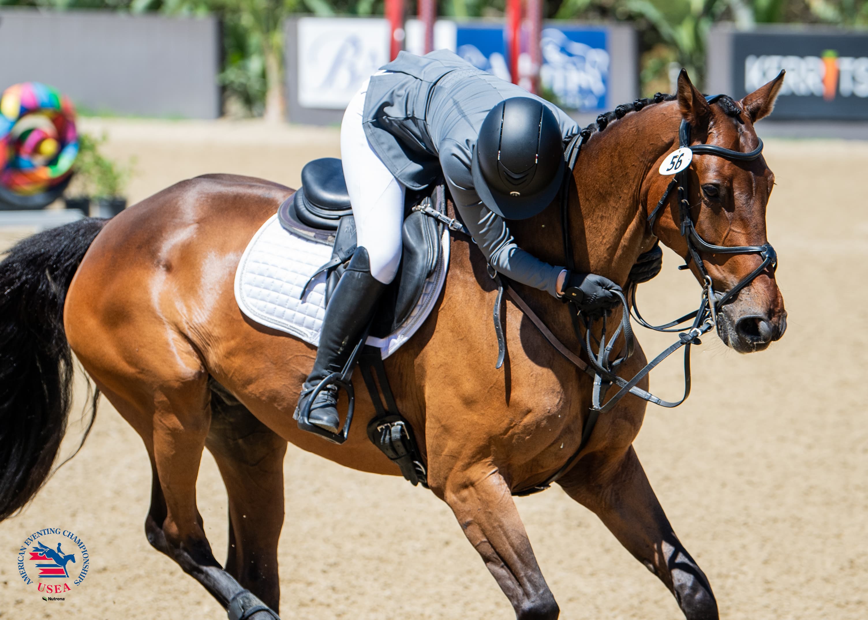 USEA/Lindsay Berreth photo