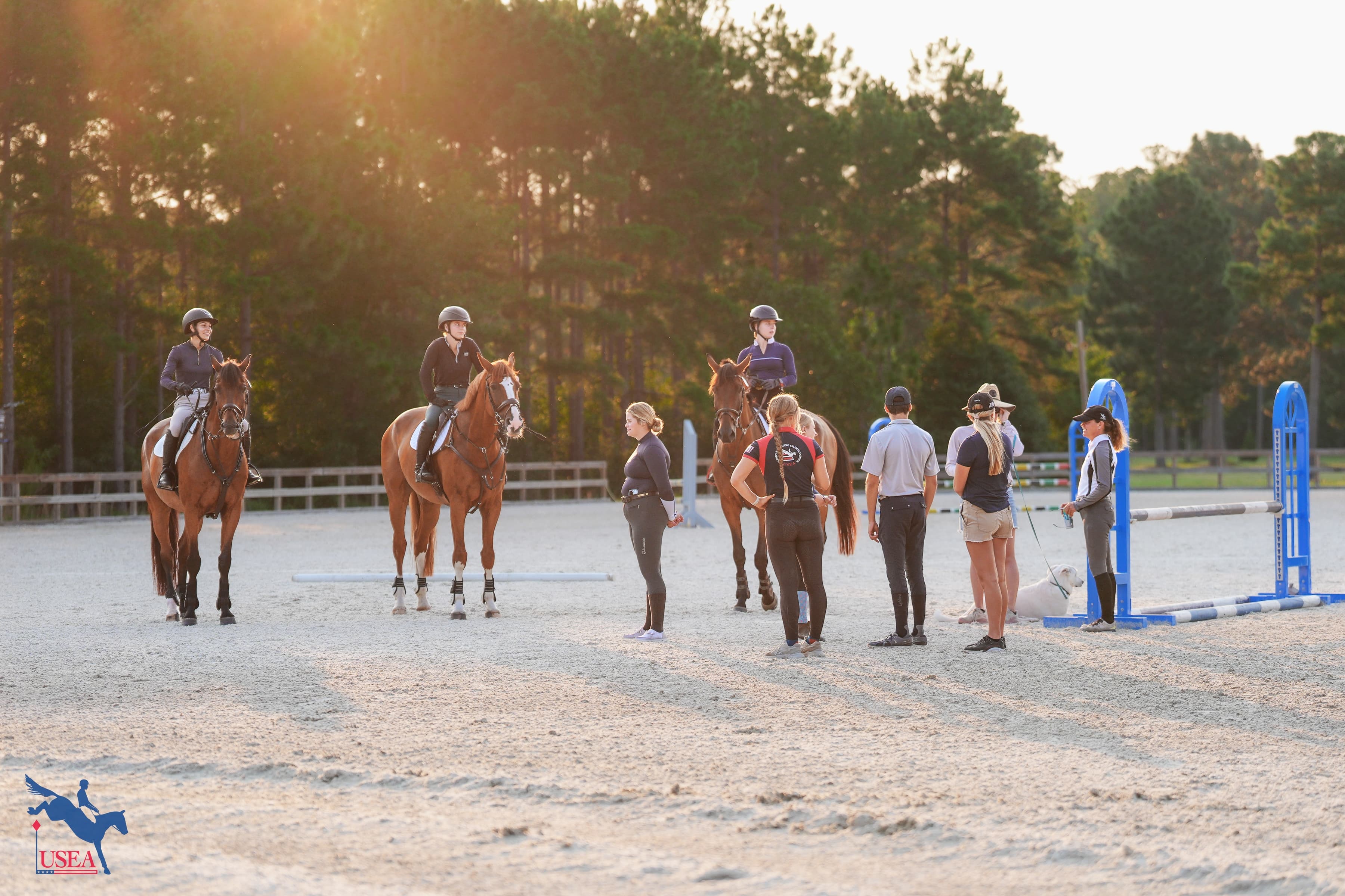 USEA/Christine Quinn photo