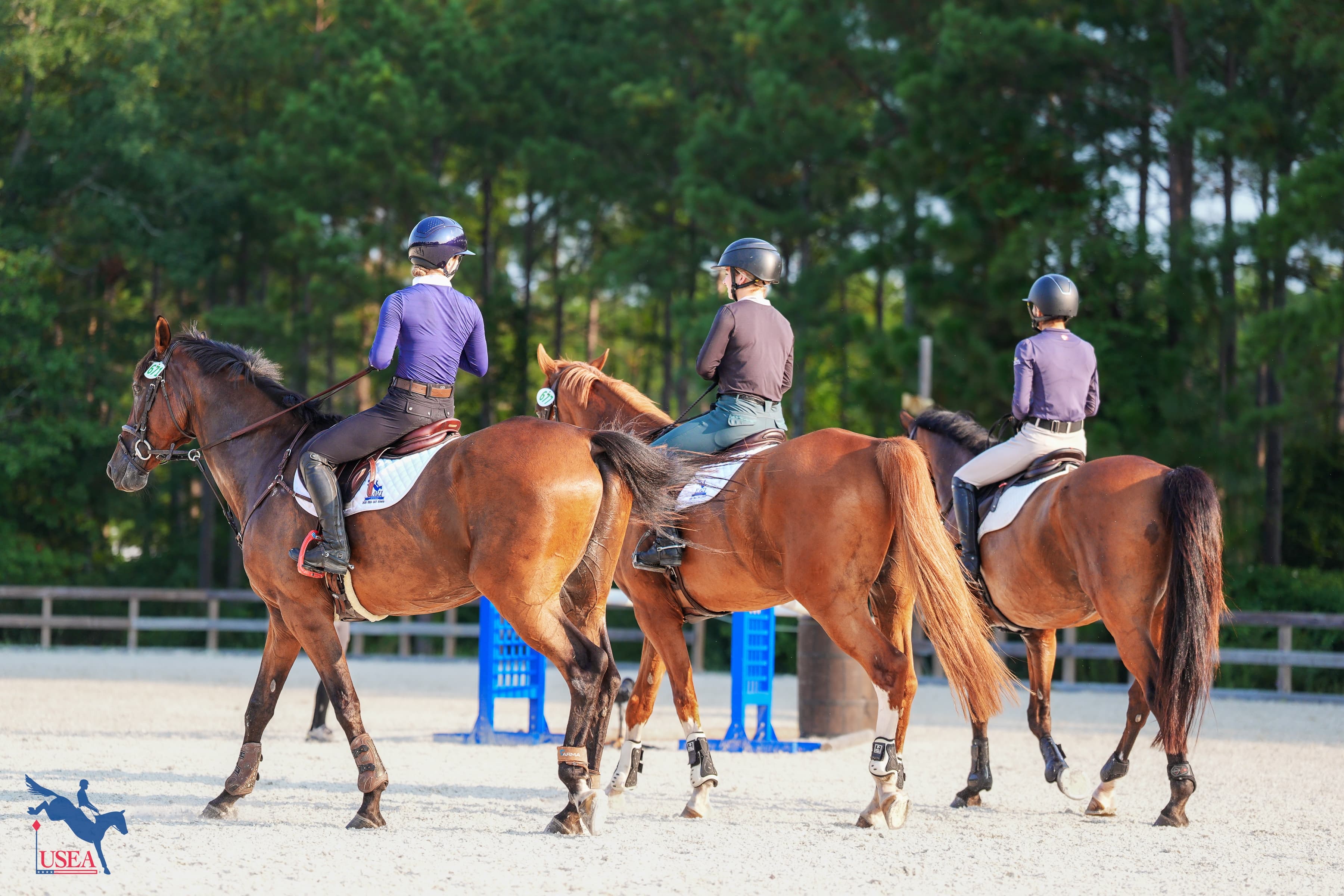USEA/Christine Quinn photo