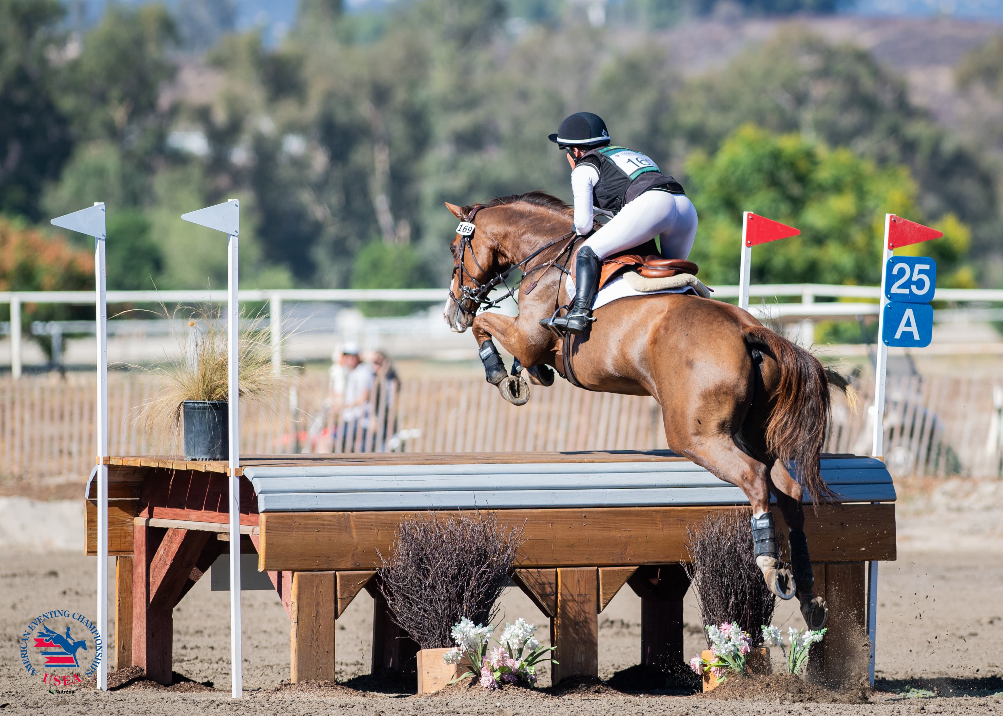 USEA/Lindsay Berreth photo