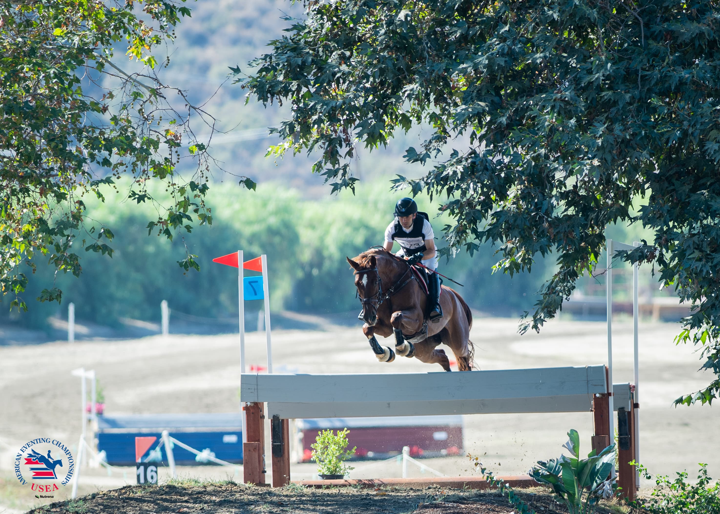 USEA/Lindsay Berreth photo