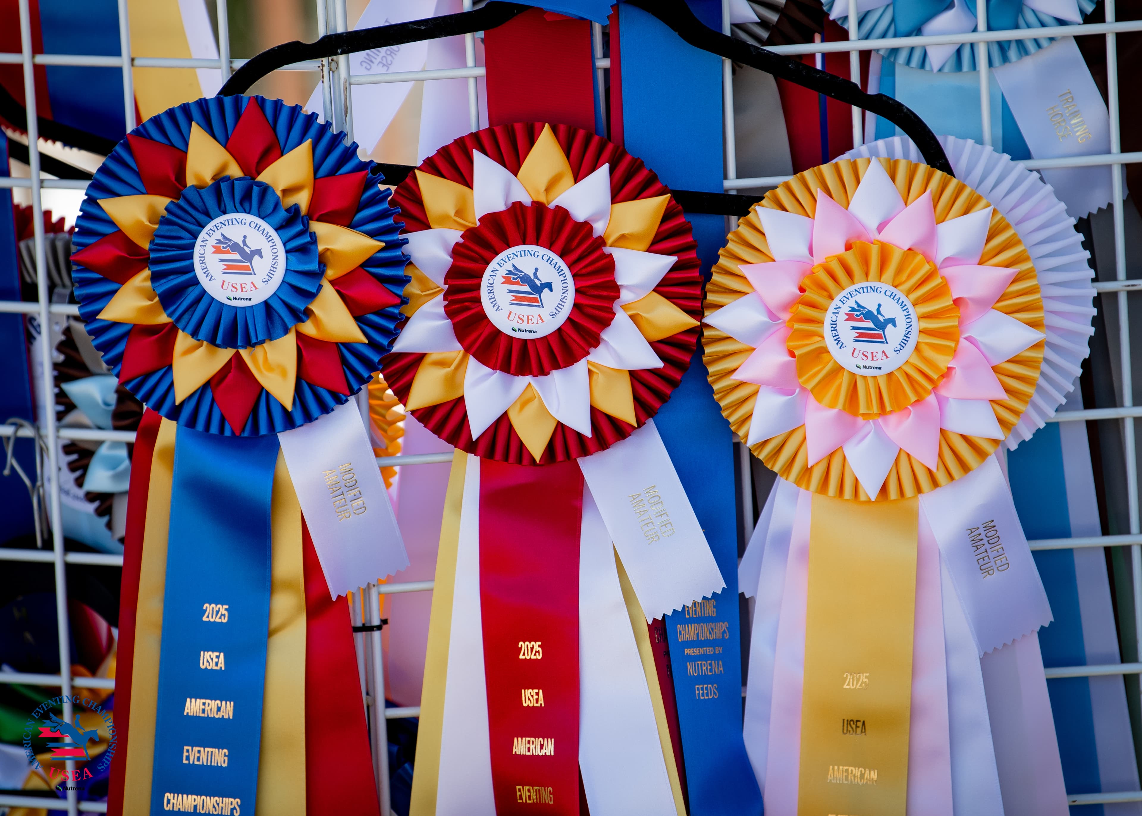 USEA/Lindsay Berreth photo