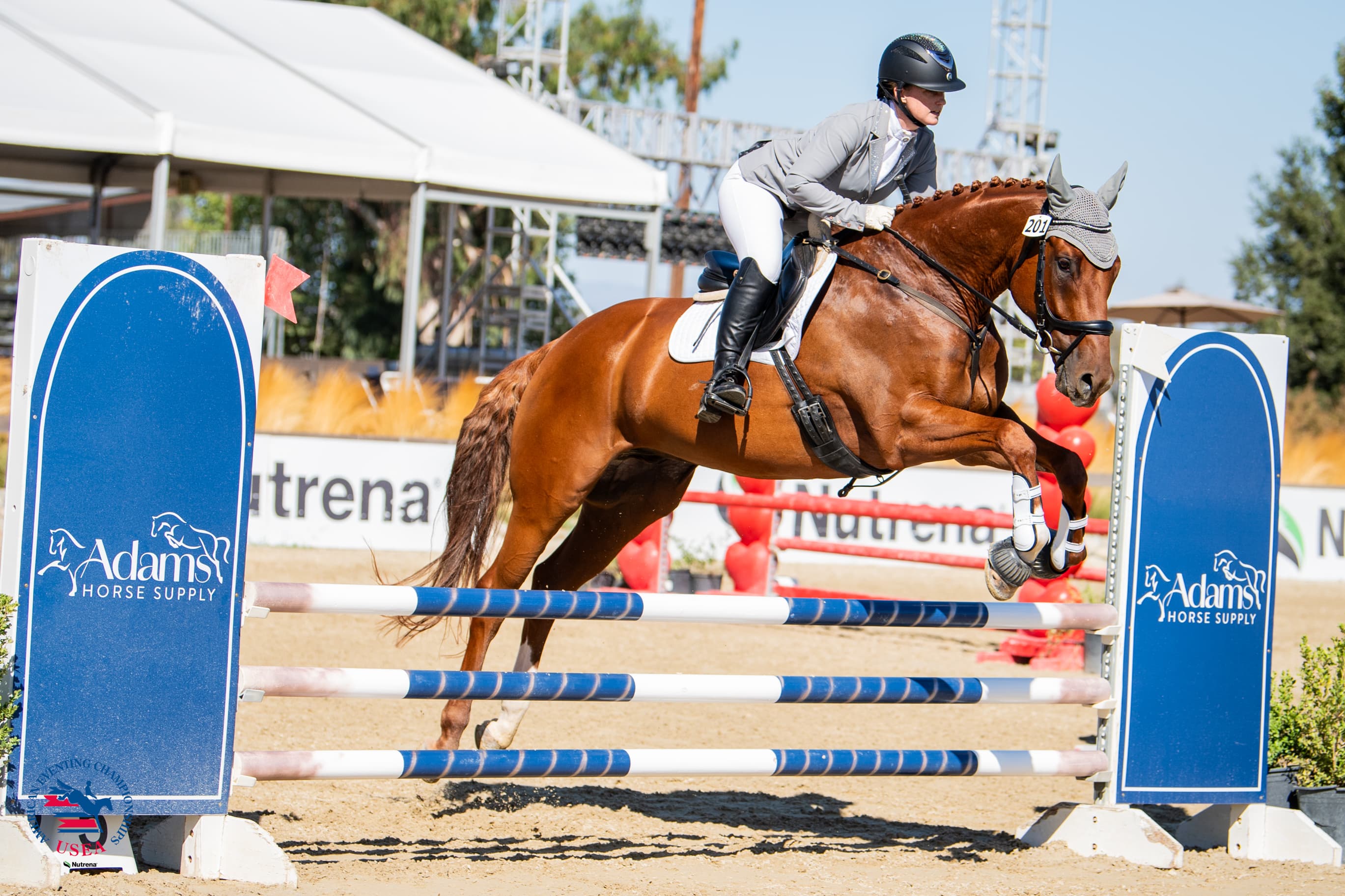 Novice Amateur Reserve Champions: Lauren Henry and Rimrock. USEA/Lindsay Berreth photo