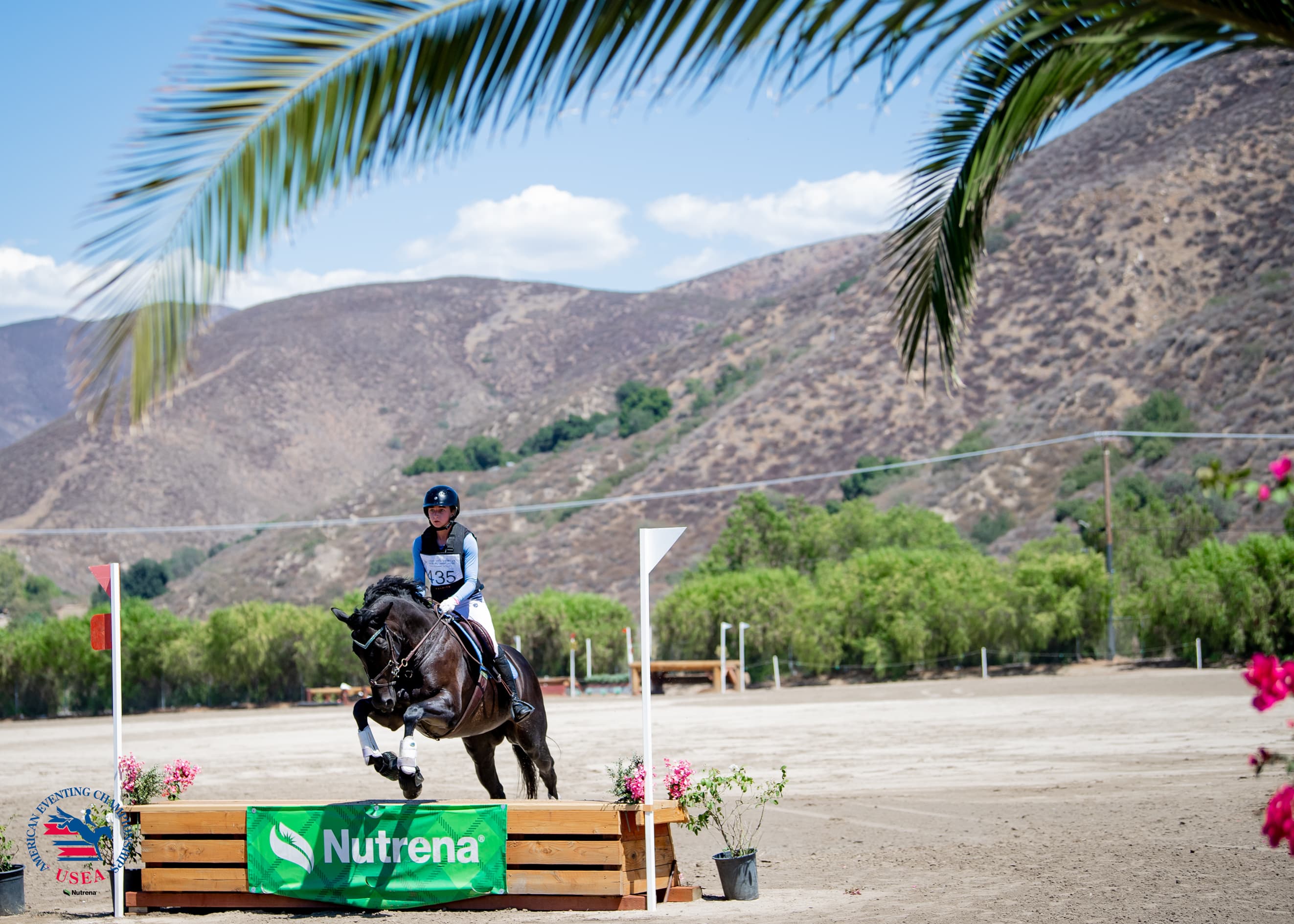 Starter Junior Champions: Amy Ahlstrom and Flyin Huckleberry. USEA/Lindsay Berreth photo