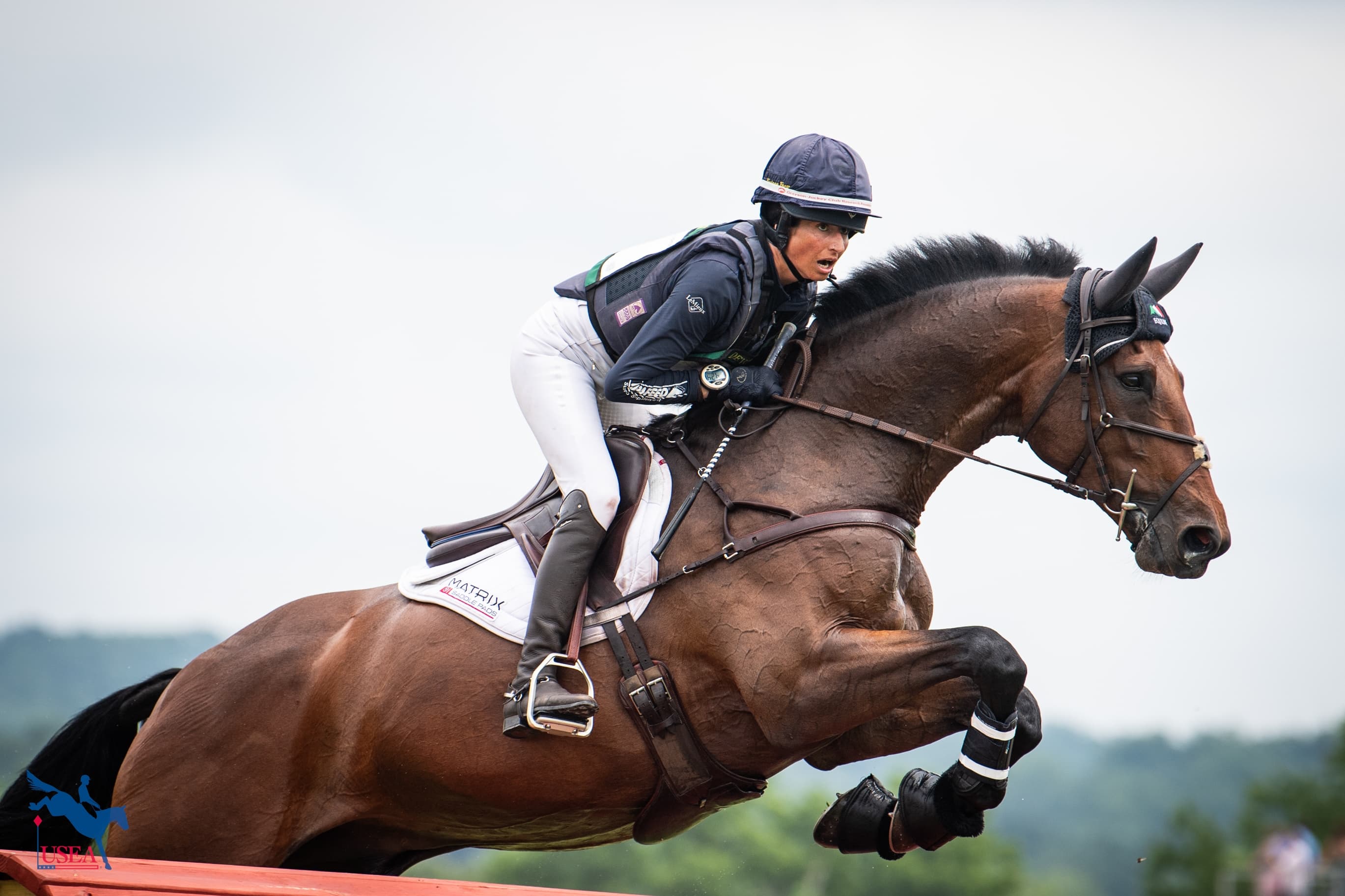 USEA/Lindsay Berreth photo