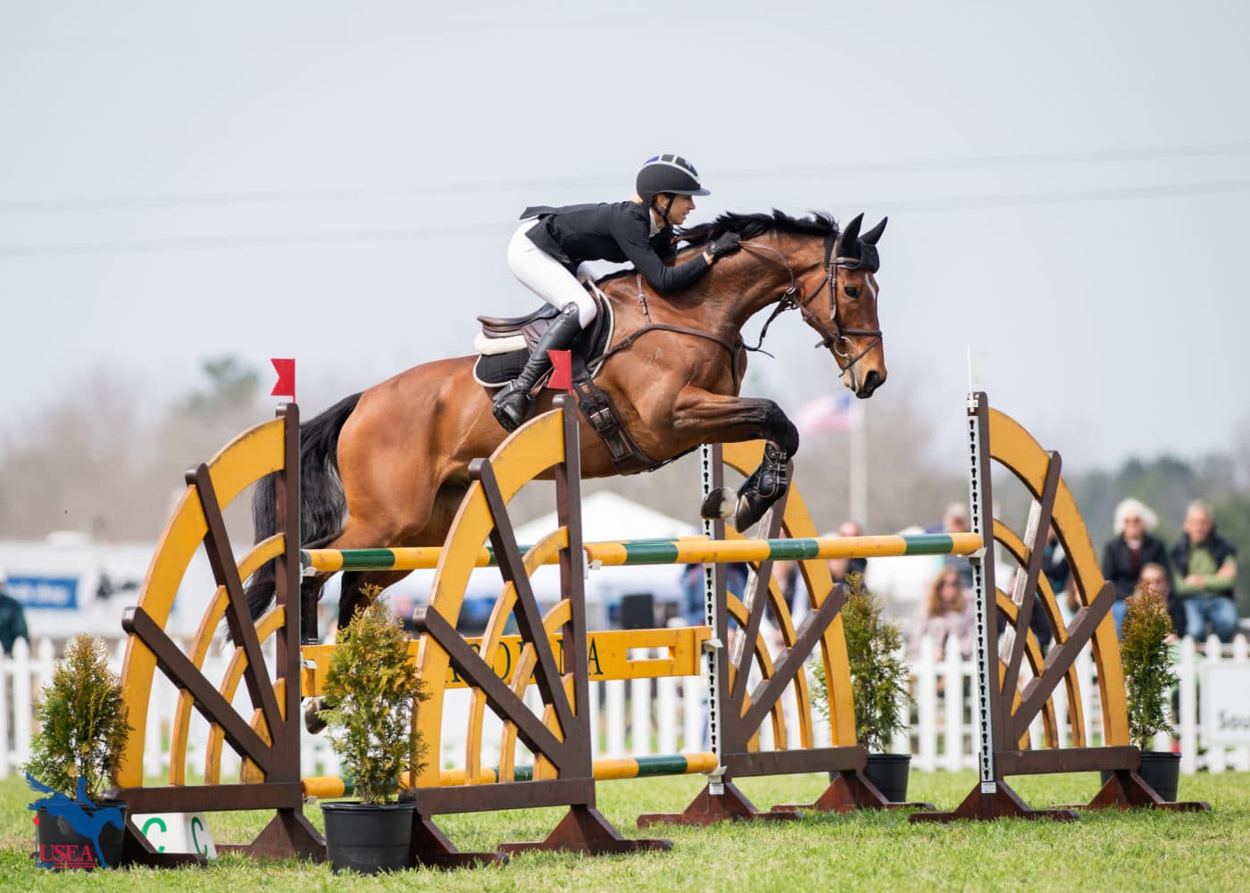 Monica Spencer and Artist are leading the CCI4*-S. USEA/Lindsay Berreth photo