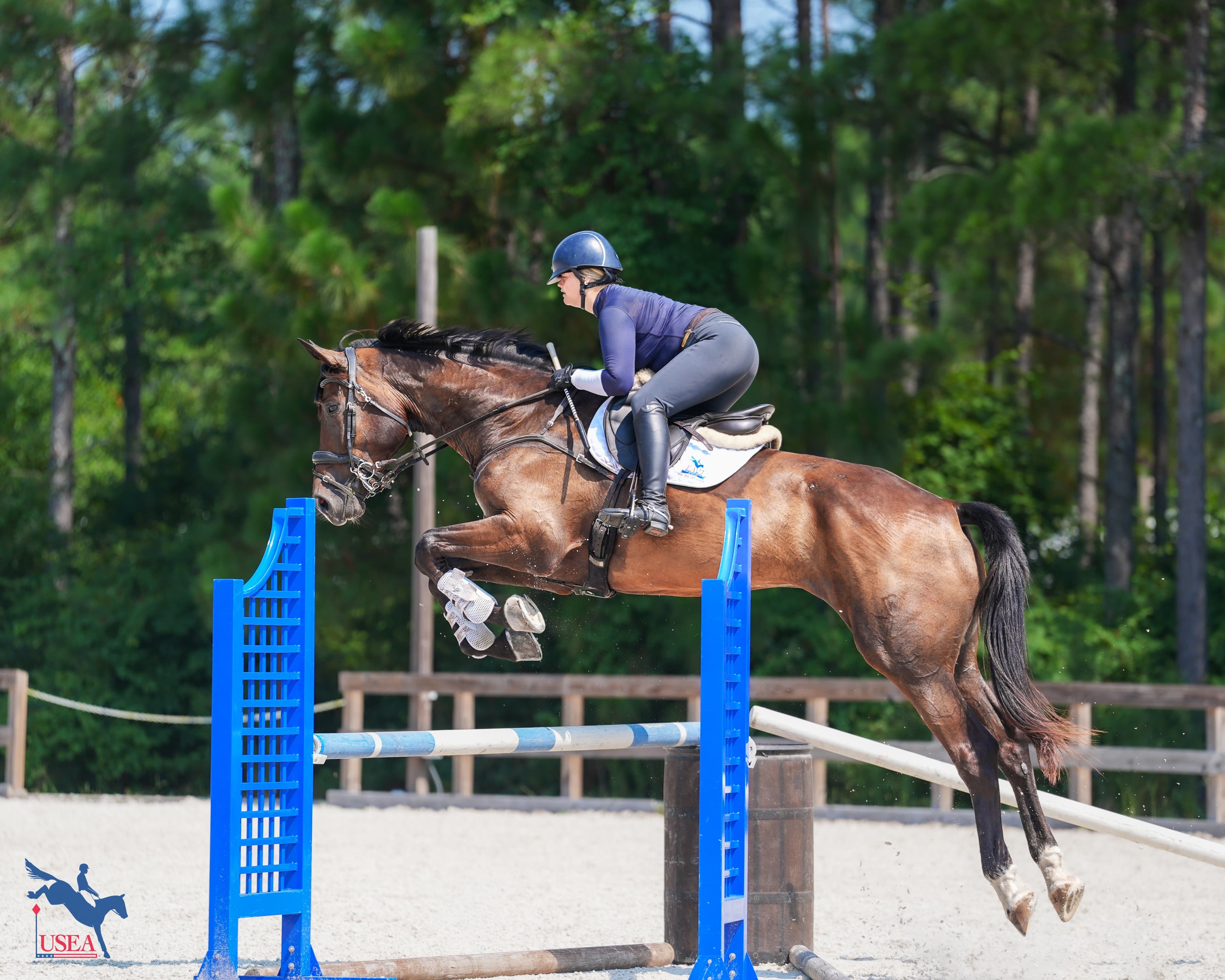 Catherine Frank. USEA/Christine Quinn photo
