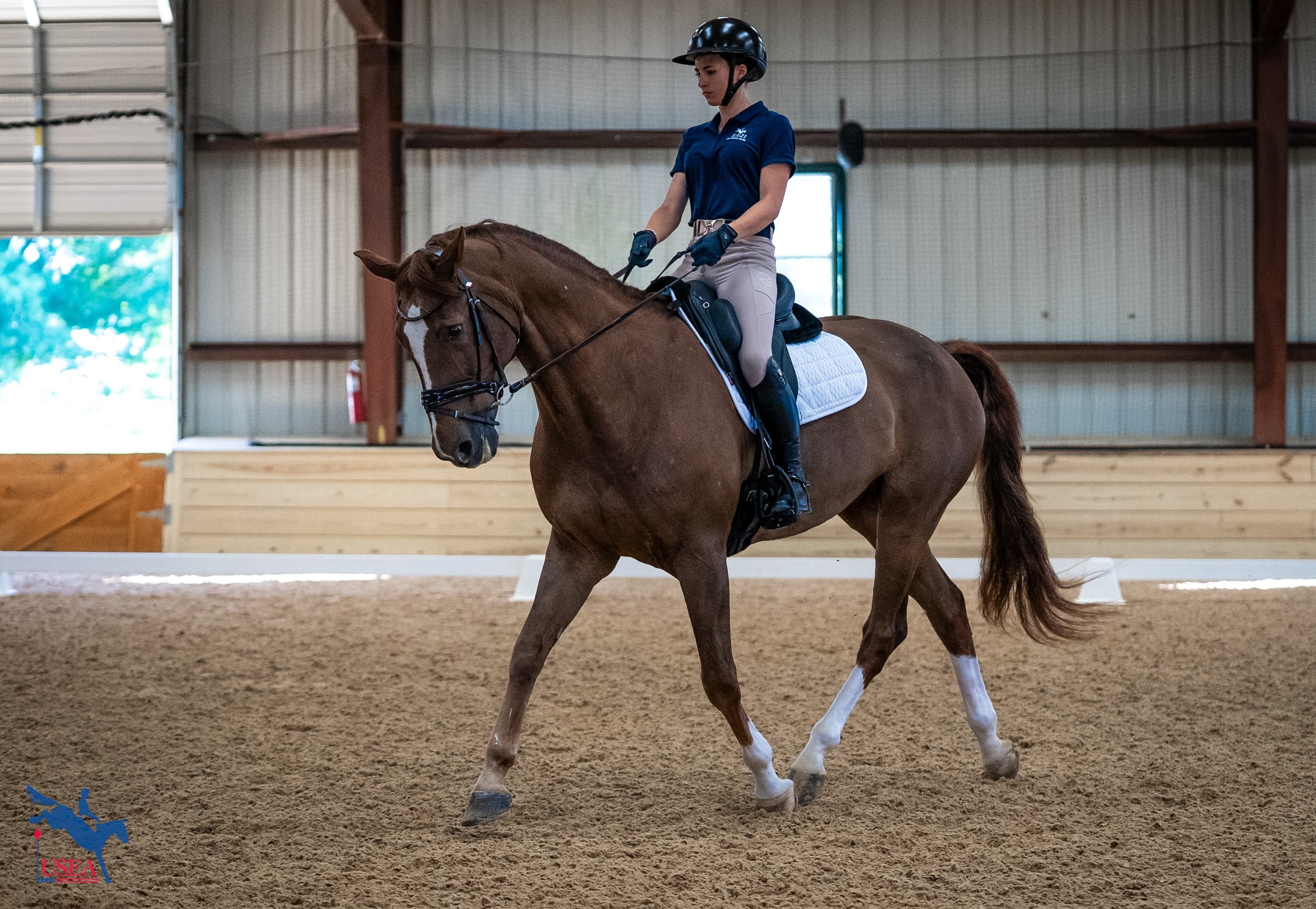 Reese Dellangelo. USEA/Lindsay Berreth photo