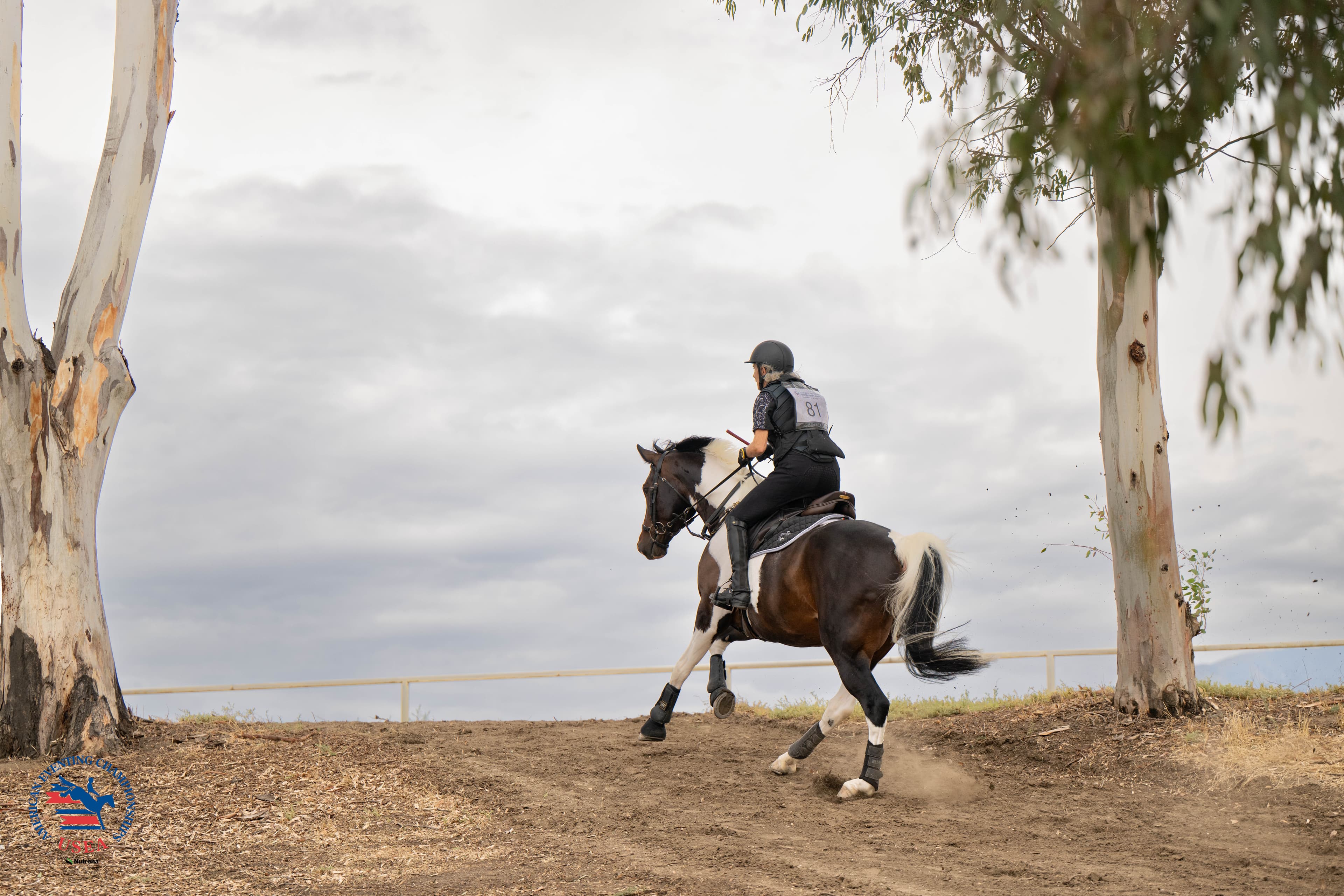 USEA/Cassidy Klein photo