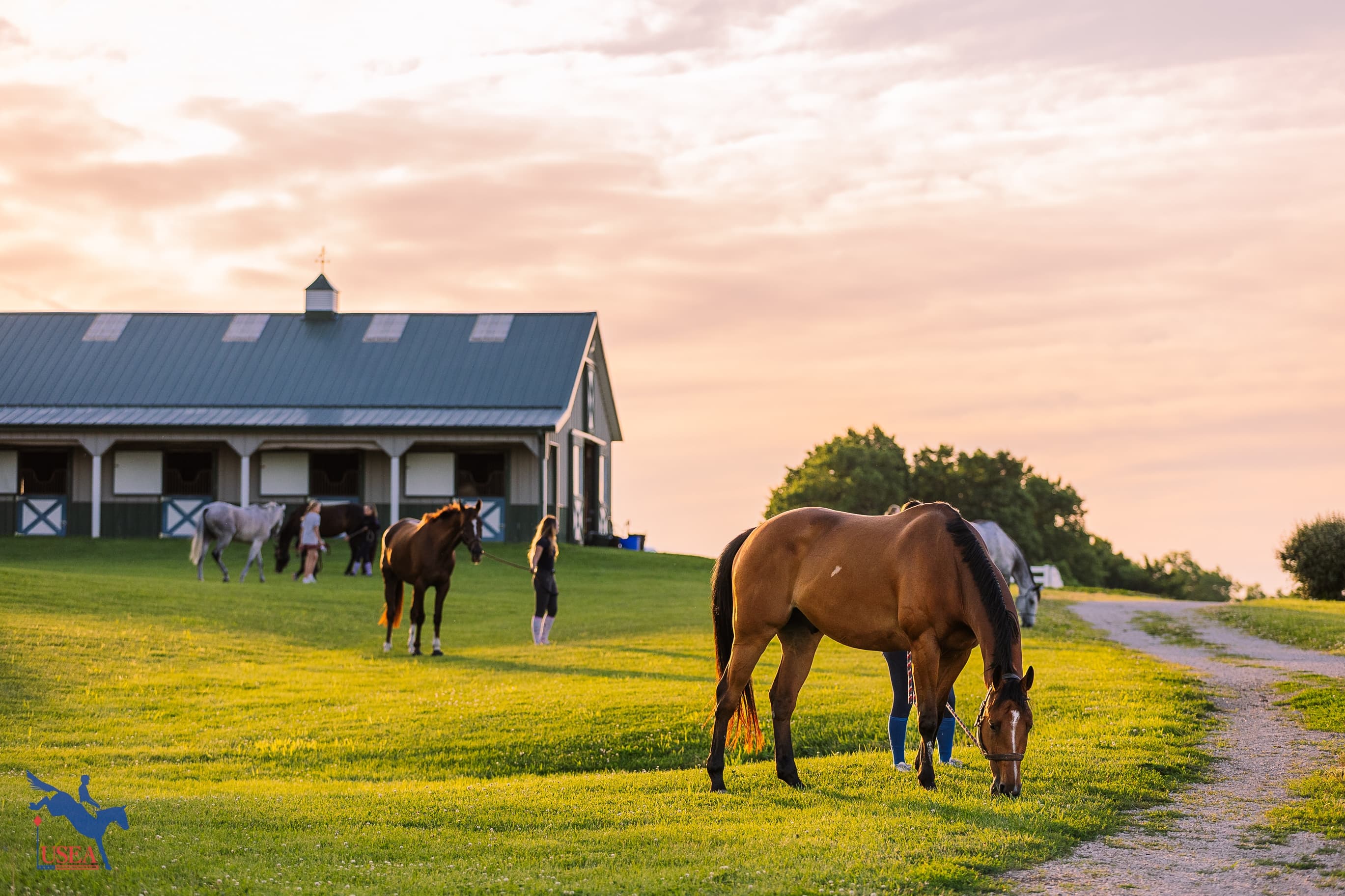 USEA/Haley Johnson photo