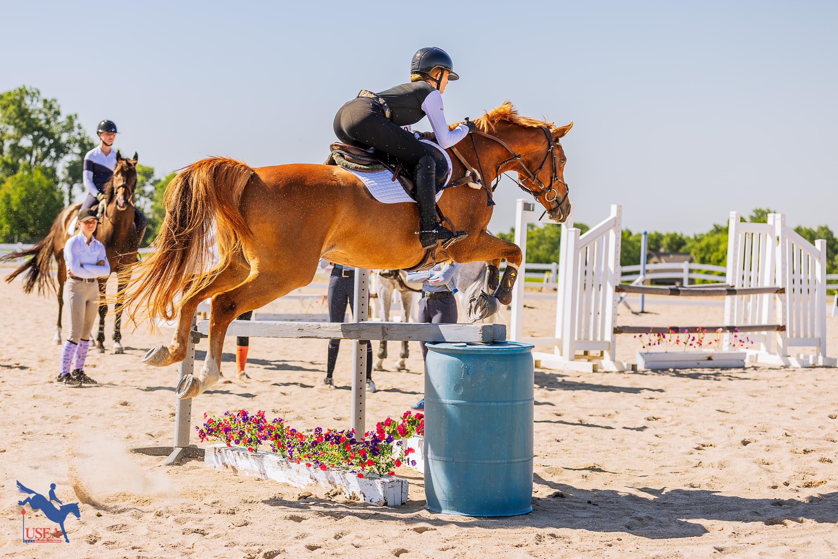 USEA/Haley Johnson photo