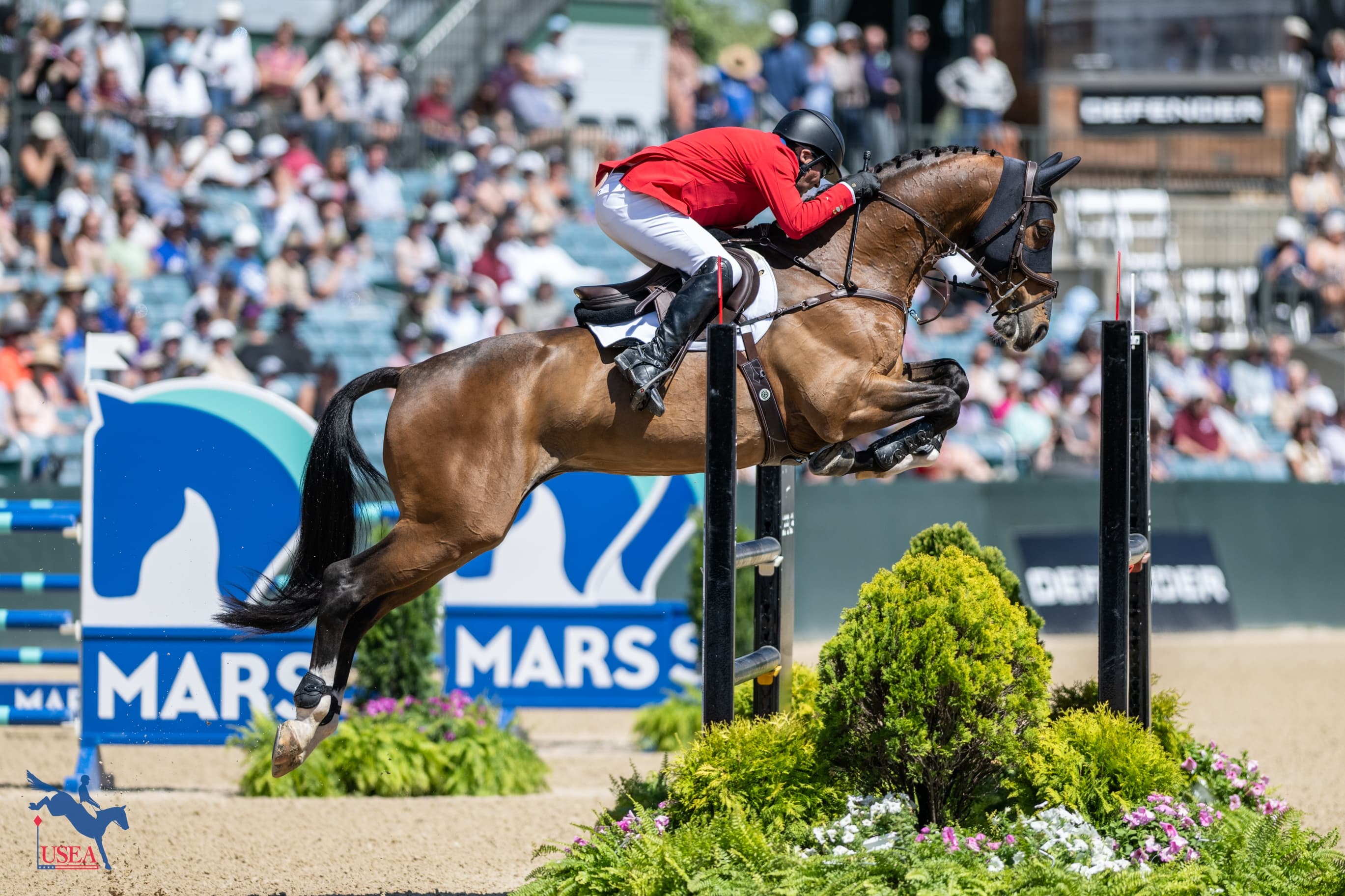 USEA/Lindsay Berreth photo