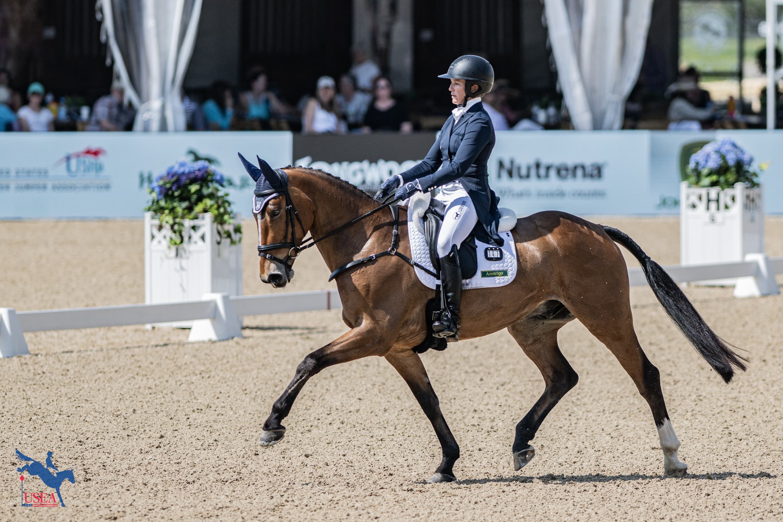 USEA/Lindsay Berreth photo