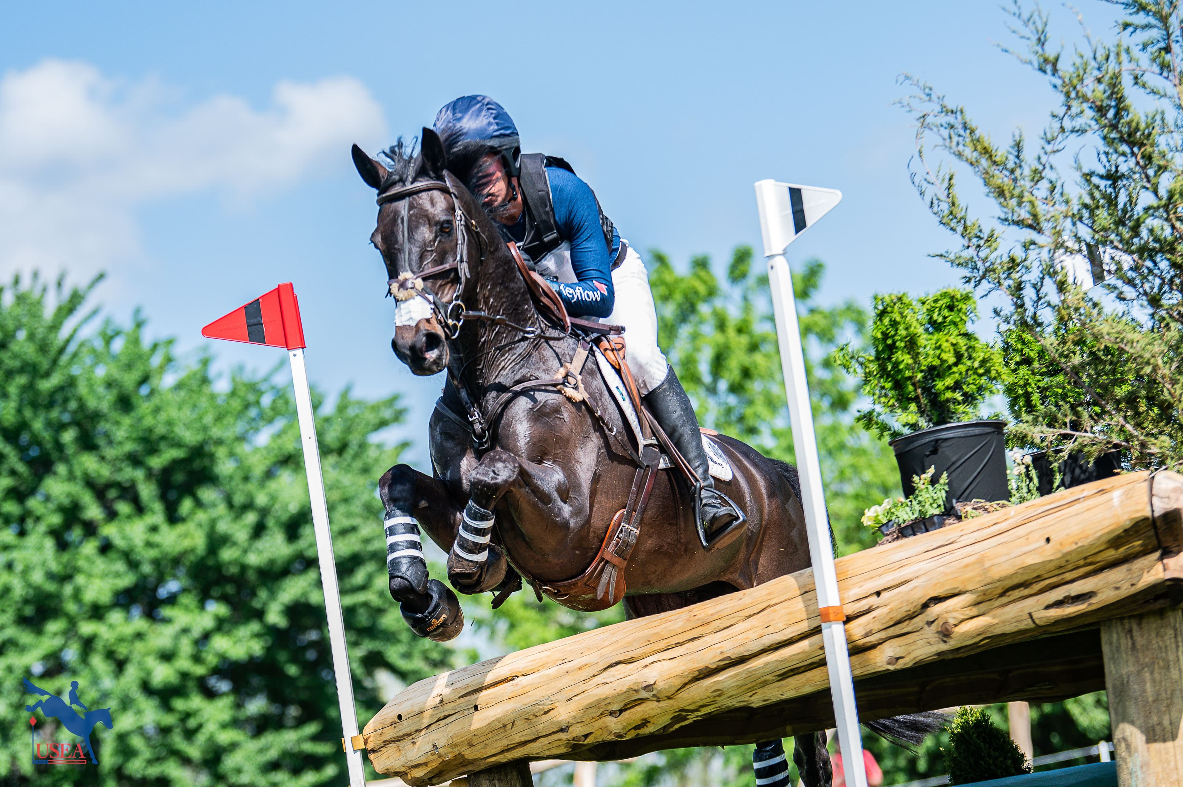 USEA/Meagan DeLisle photo