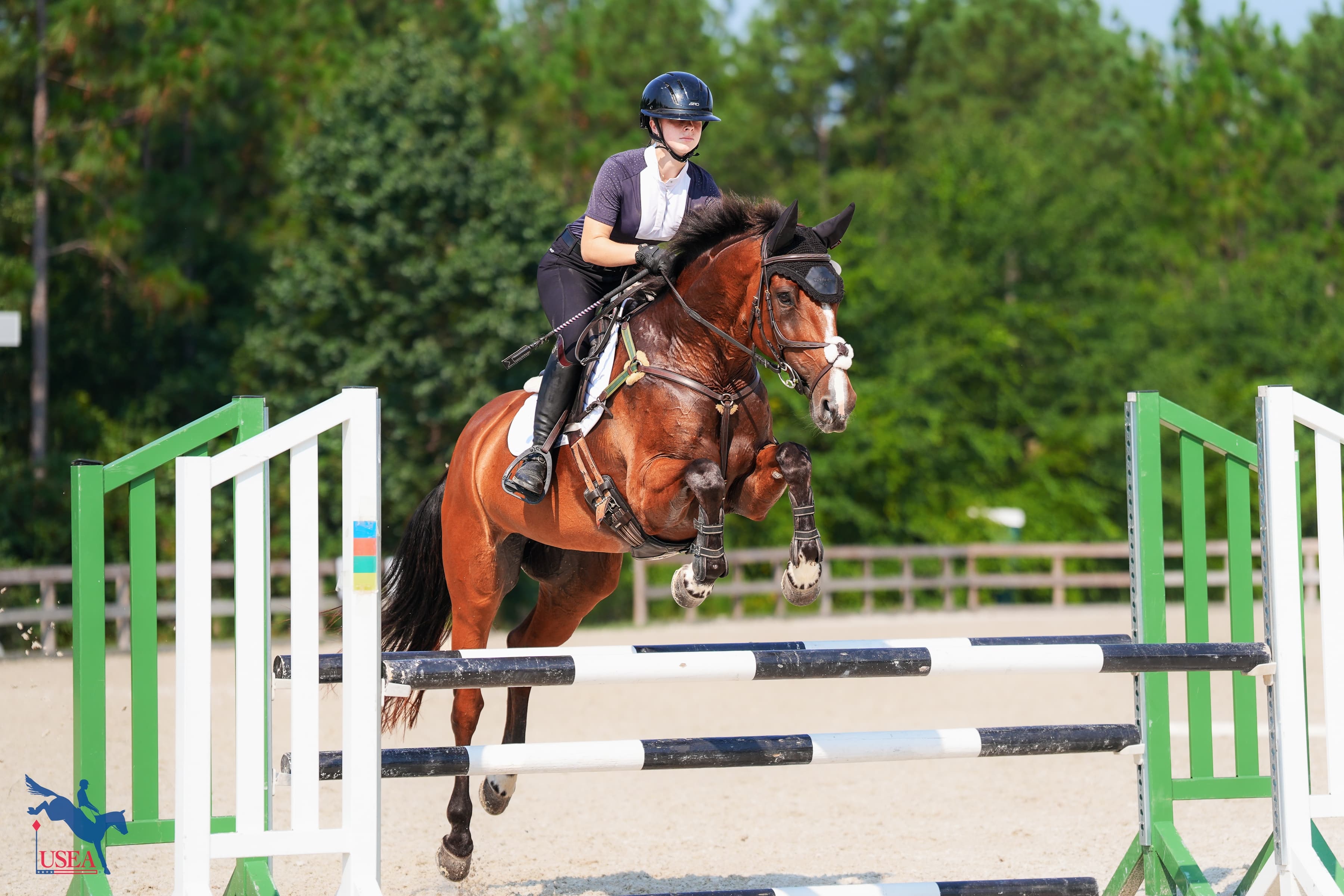 USEA/Christine Quinn photo