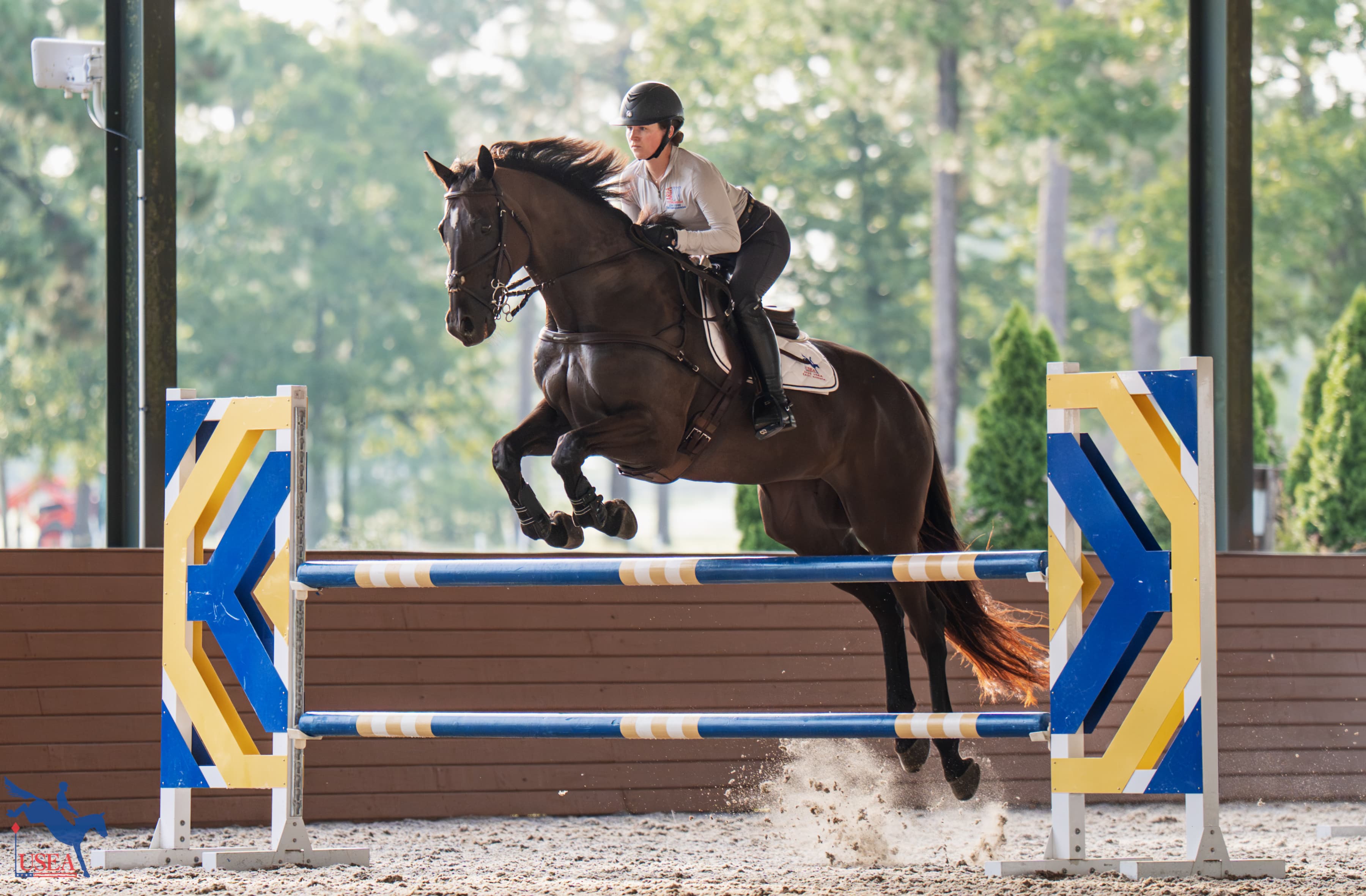 USEA/Christine Quinn photo