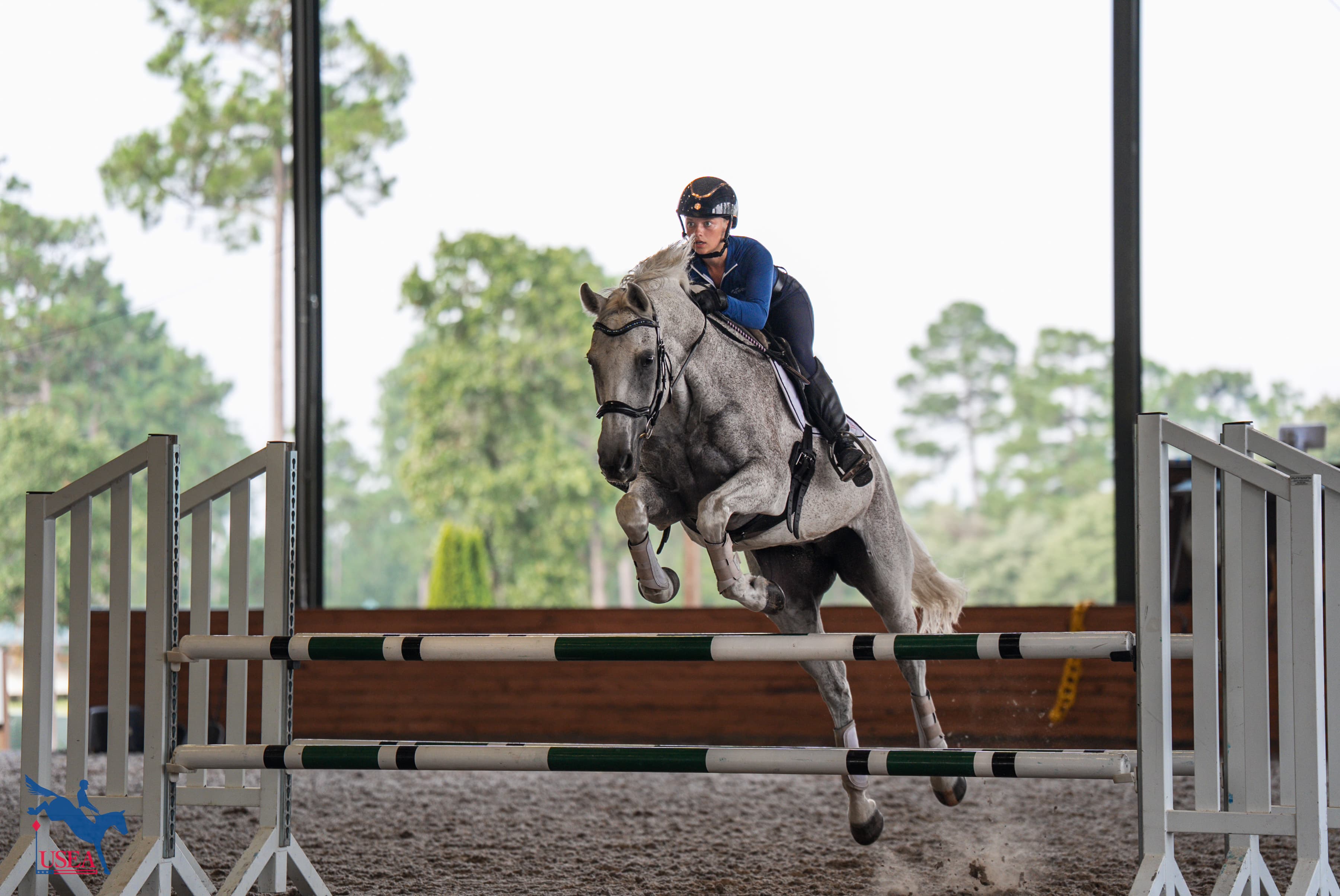 USEA/Christine Quinn photo