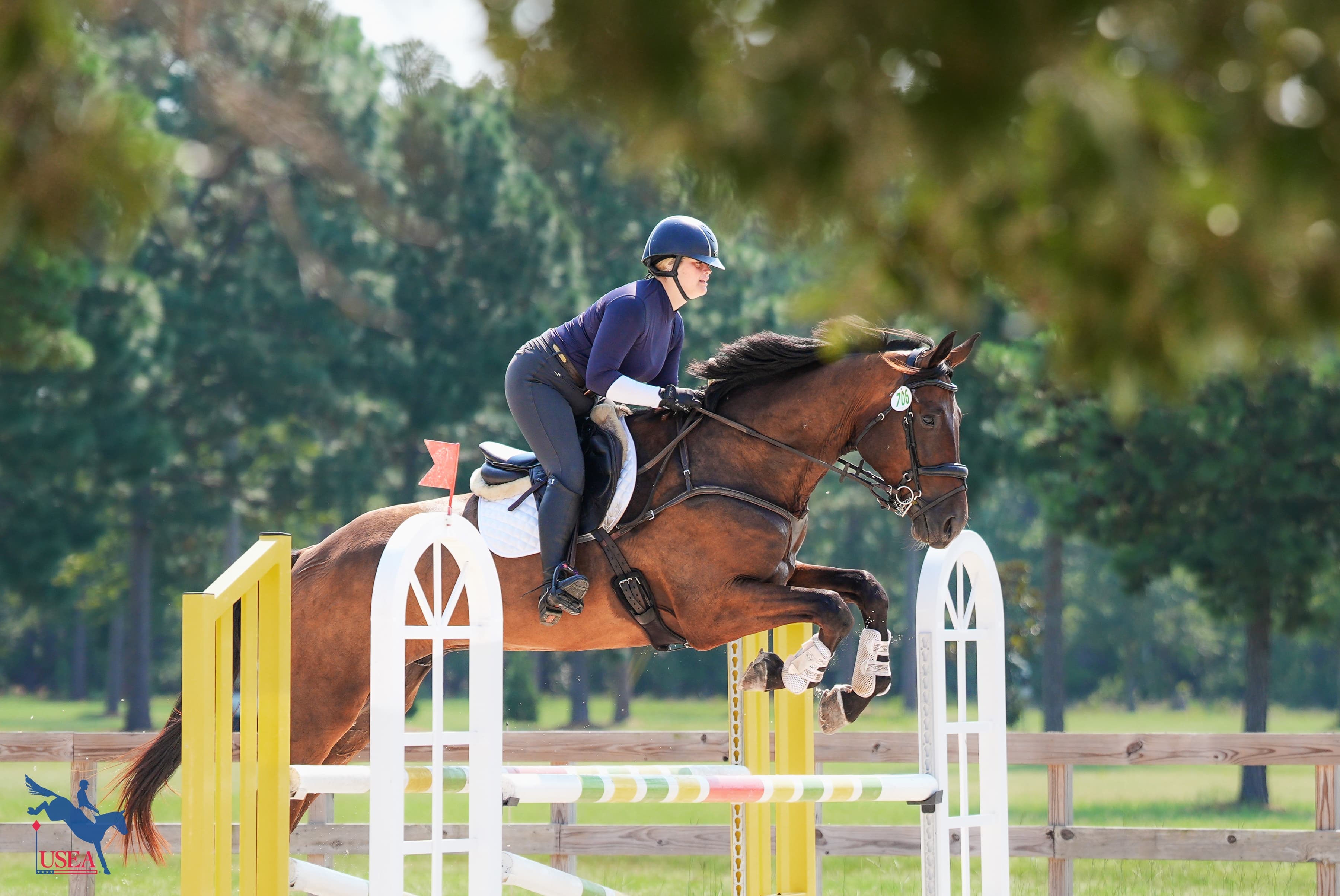 USEA/Christine Quinn photo