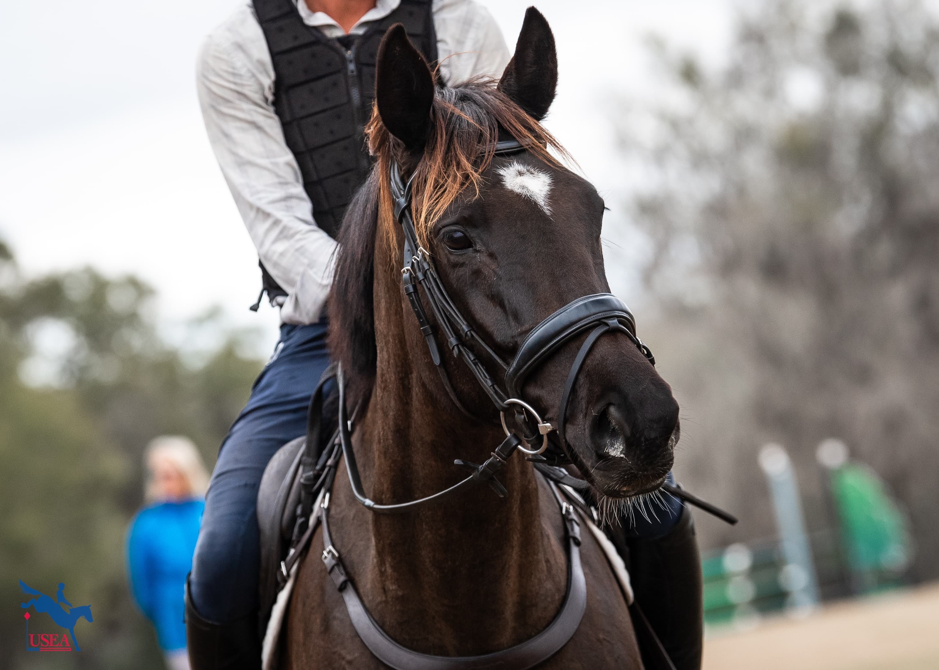 USEA/Lindsay Berreth photo