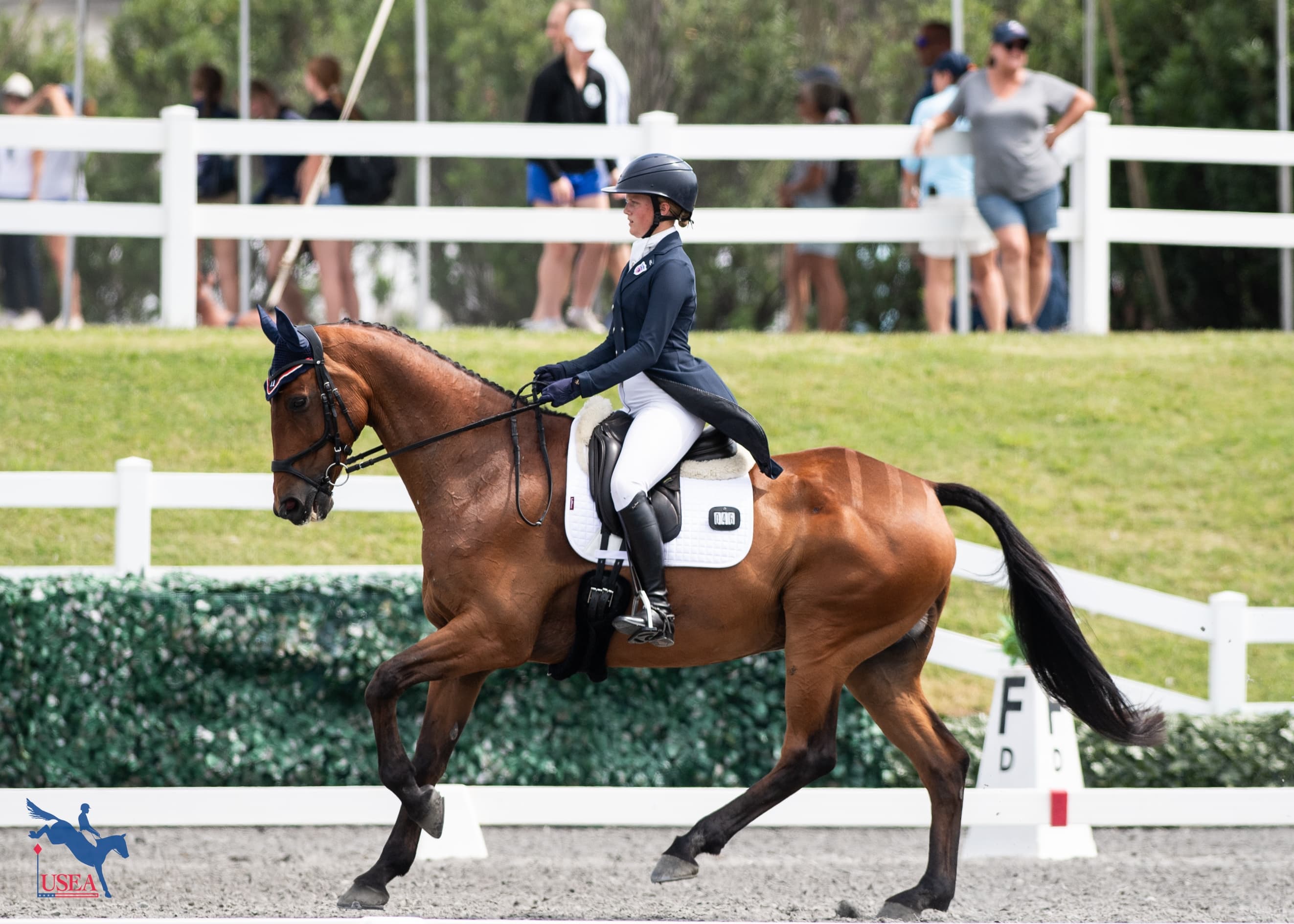 USEA/Lindsay Berreth photo