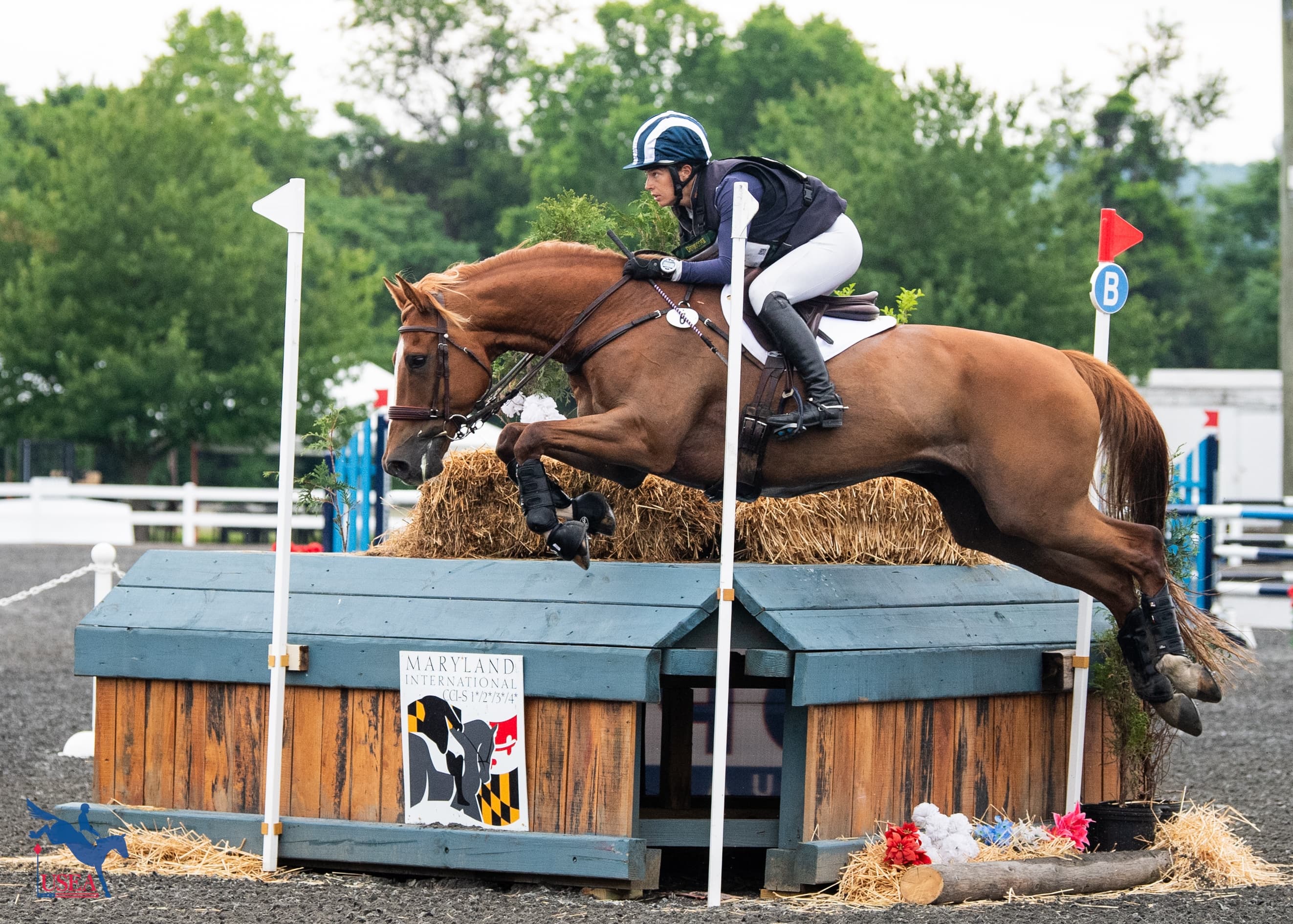 USEA/Lindsay Berreth photo