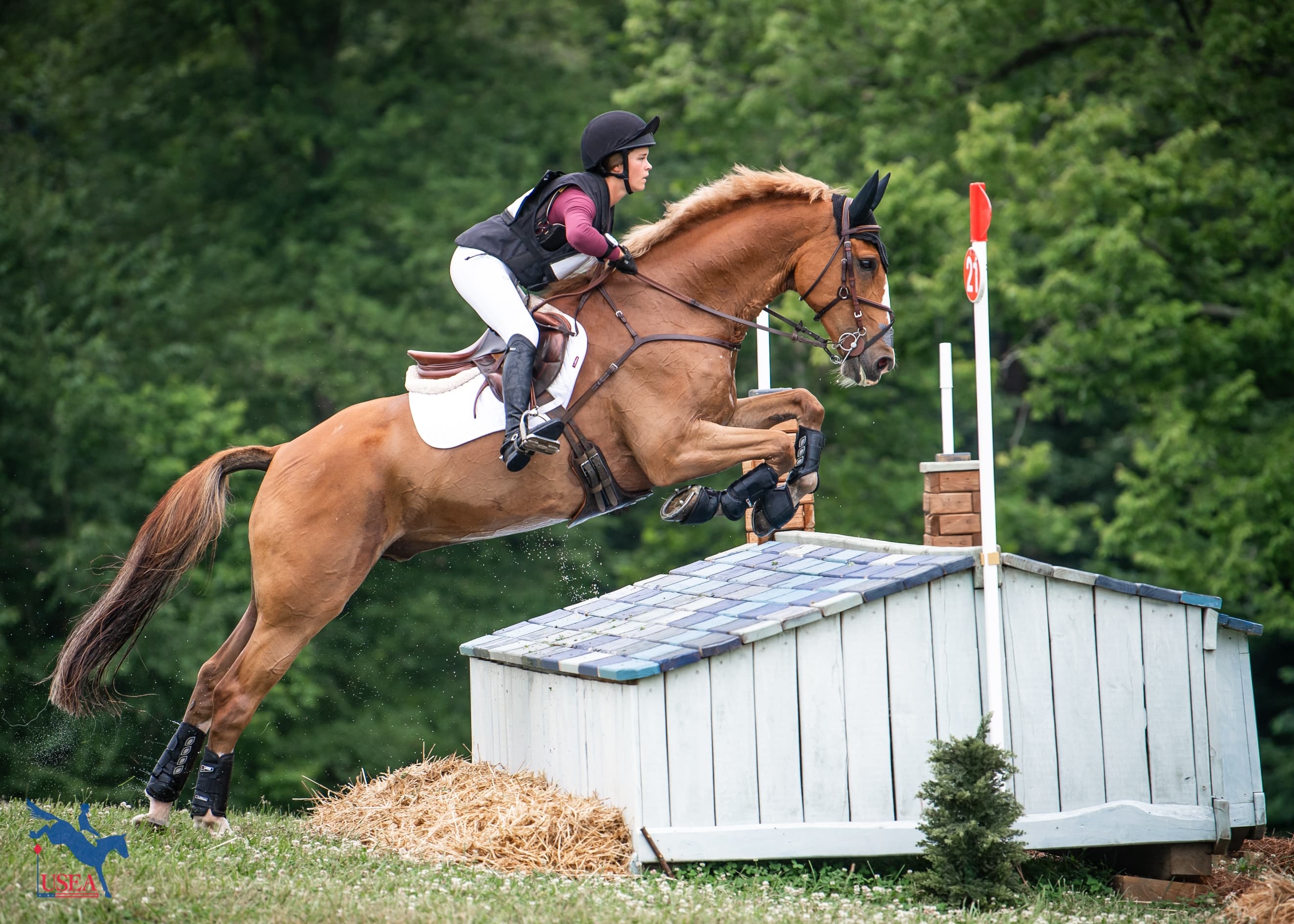 USEA/Lindsay Berreth photo