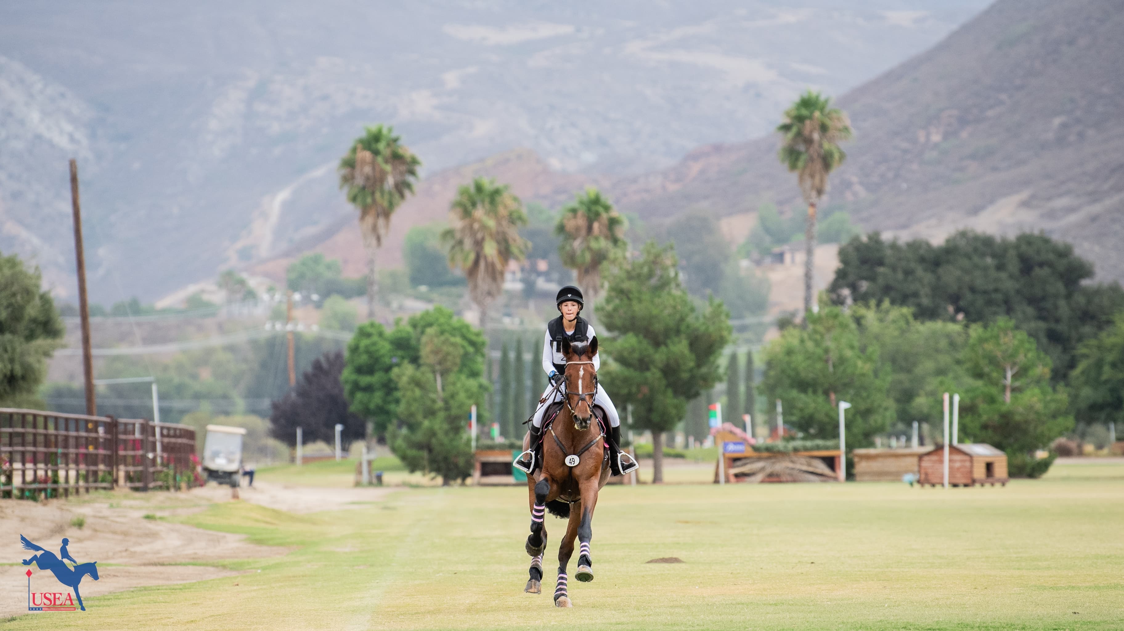 Weekend Quick Links: November 1-2