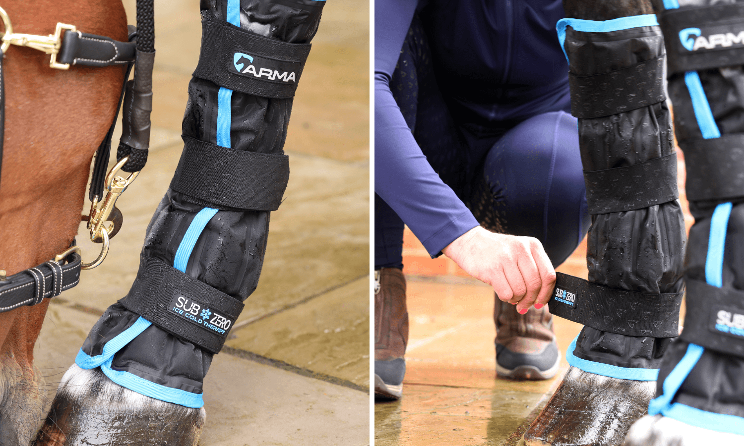 How To Use Ice Boots on Horses