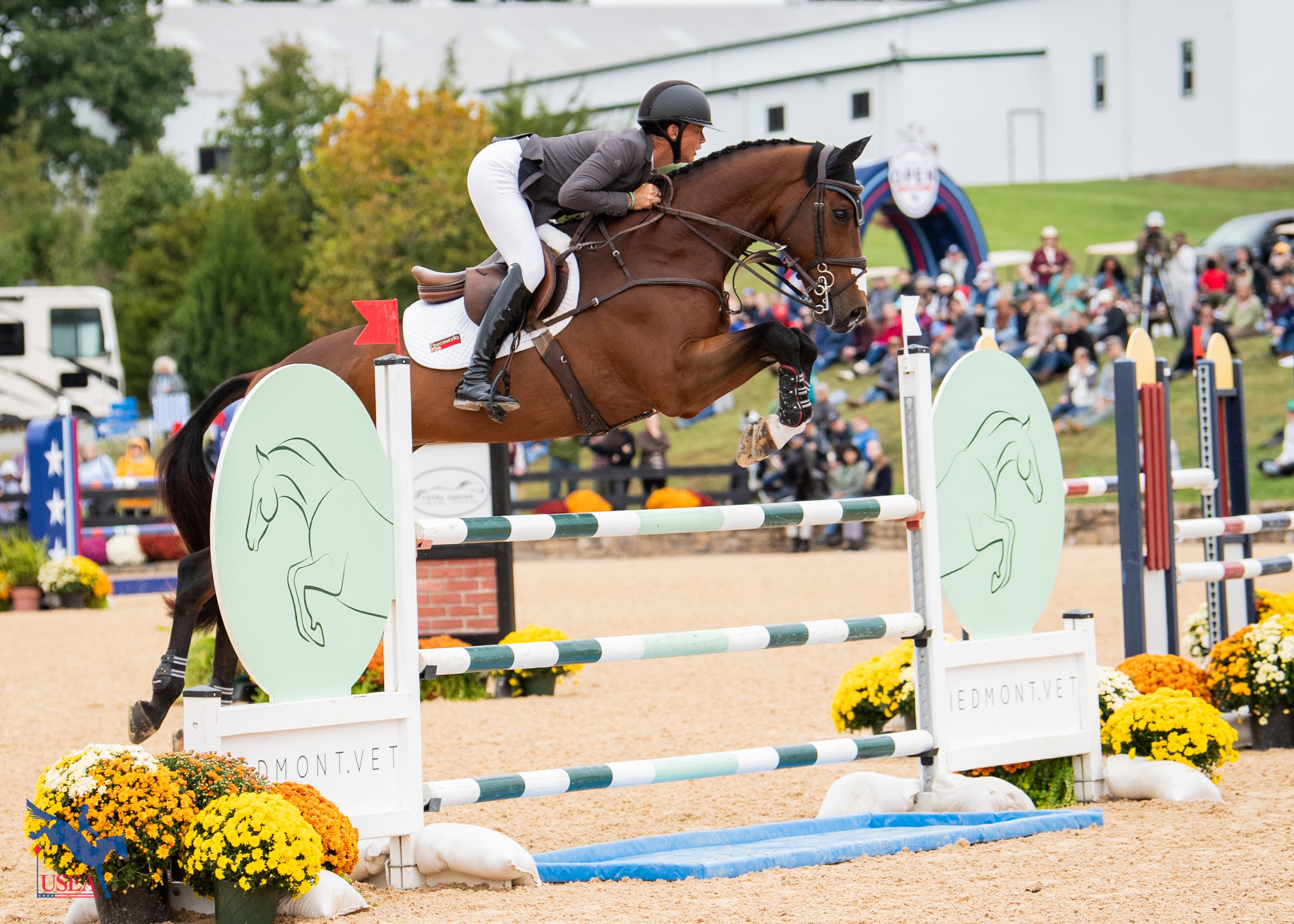 USEA/Lindsay Berreth photo