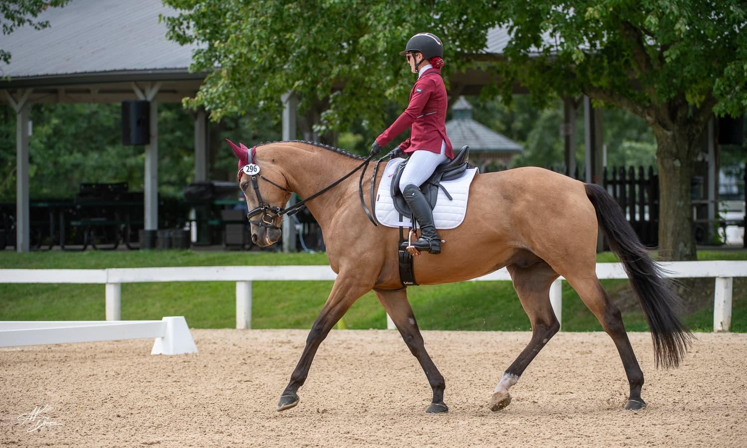 From $450 Rescue Colt to the AEC: Stephanie Watko and Brinley Gold’s Unlikely Journey
